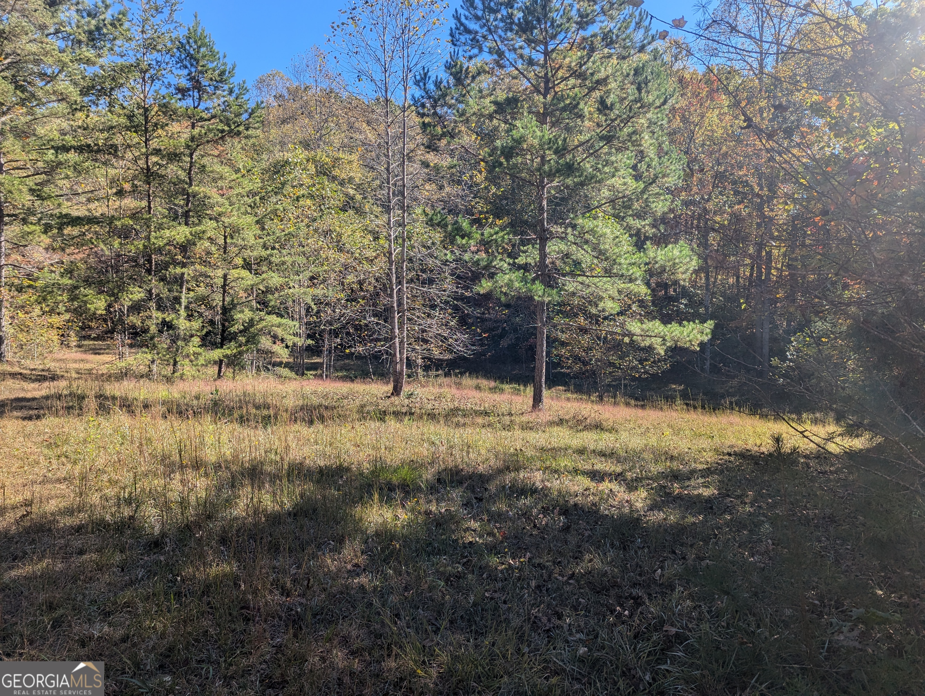 26.89 Ac Shadow Lane Property Photo 29