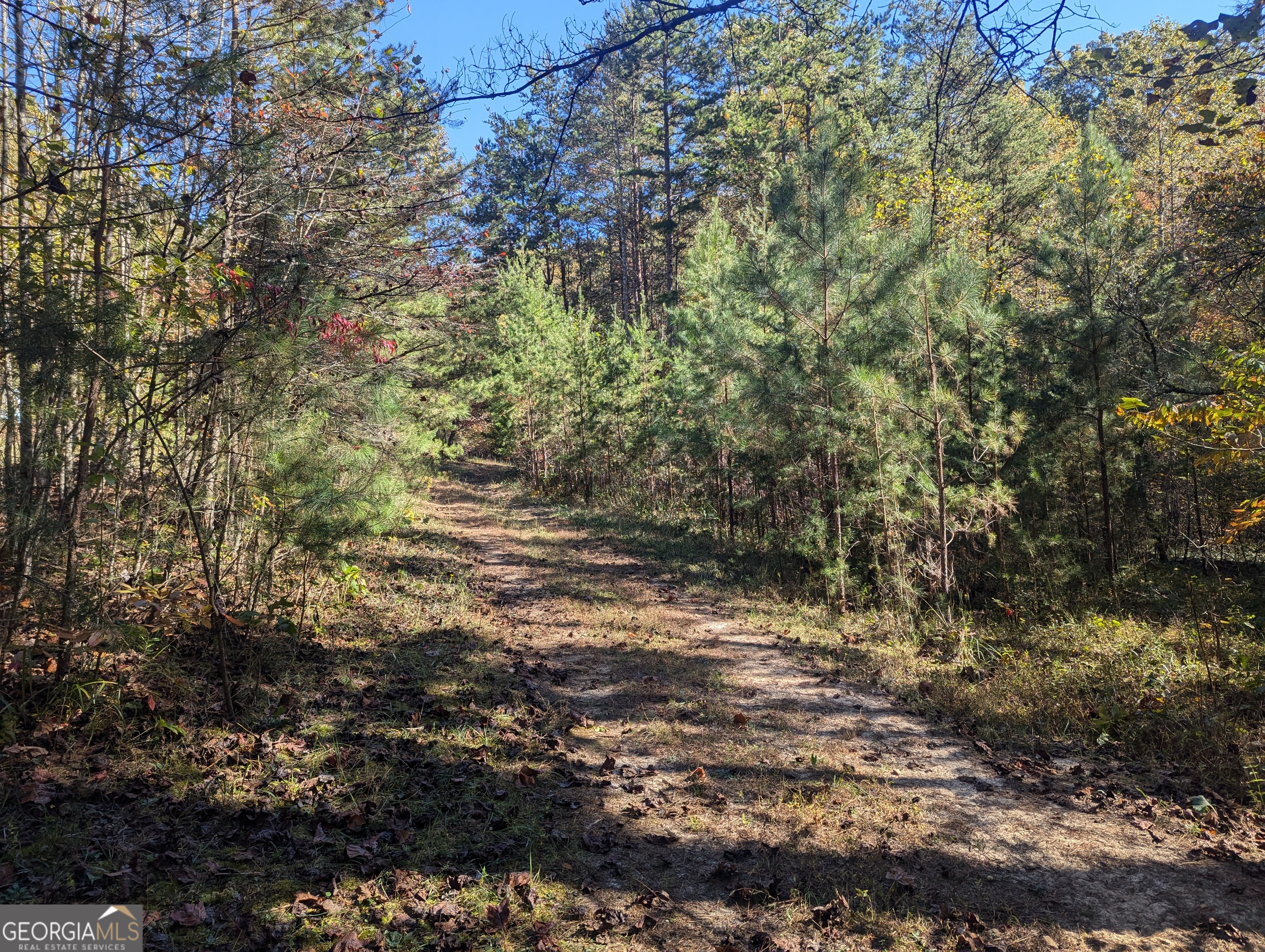 26.89 Ac Shadow Lane Property Photo 31