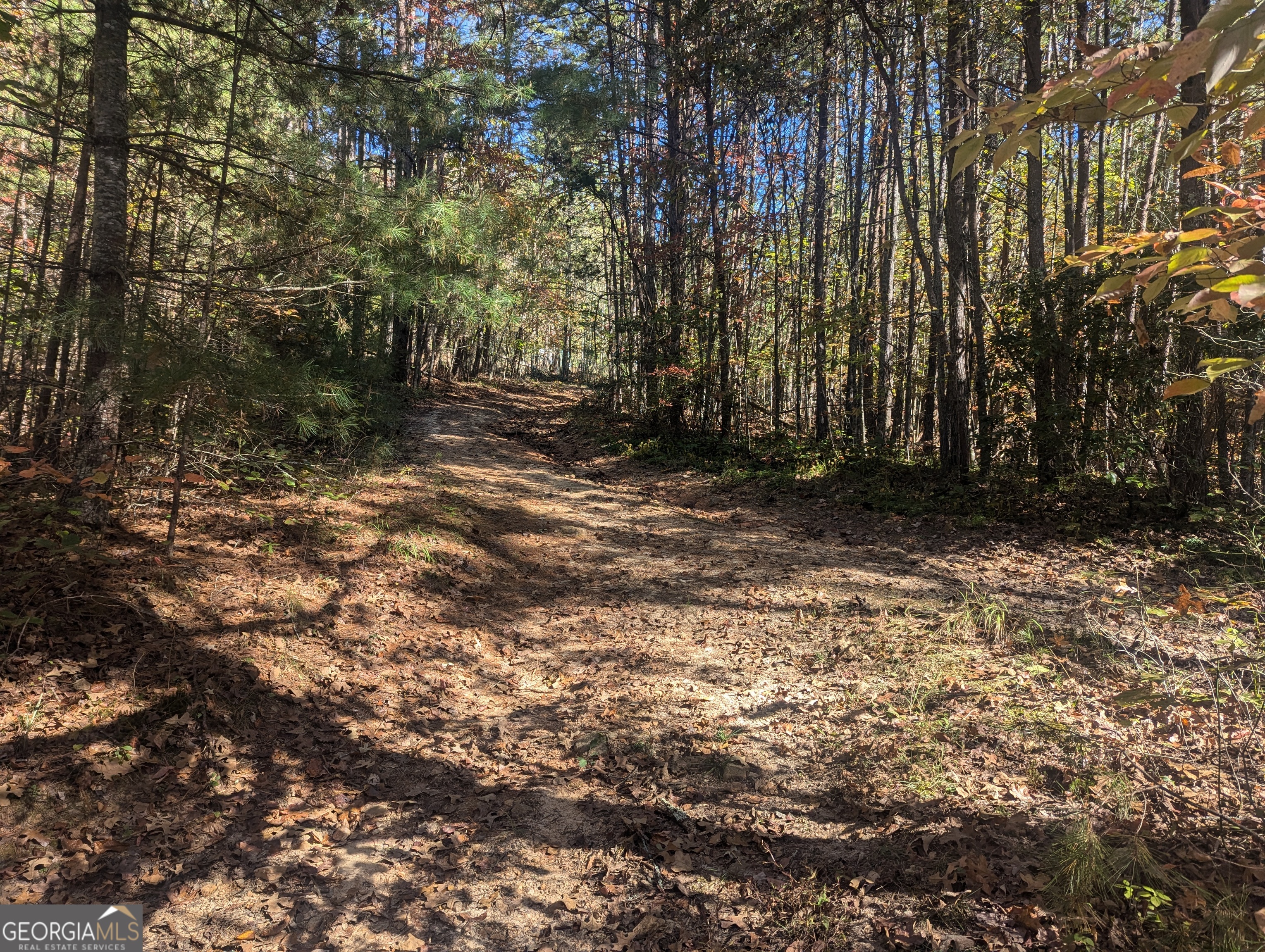 26.89 Ac Shadow Lane Property Photo 32