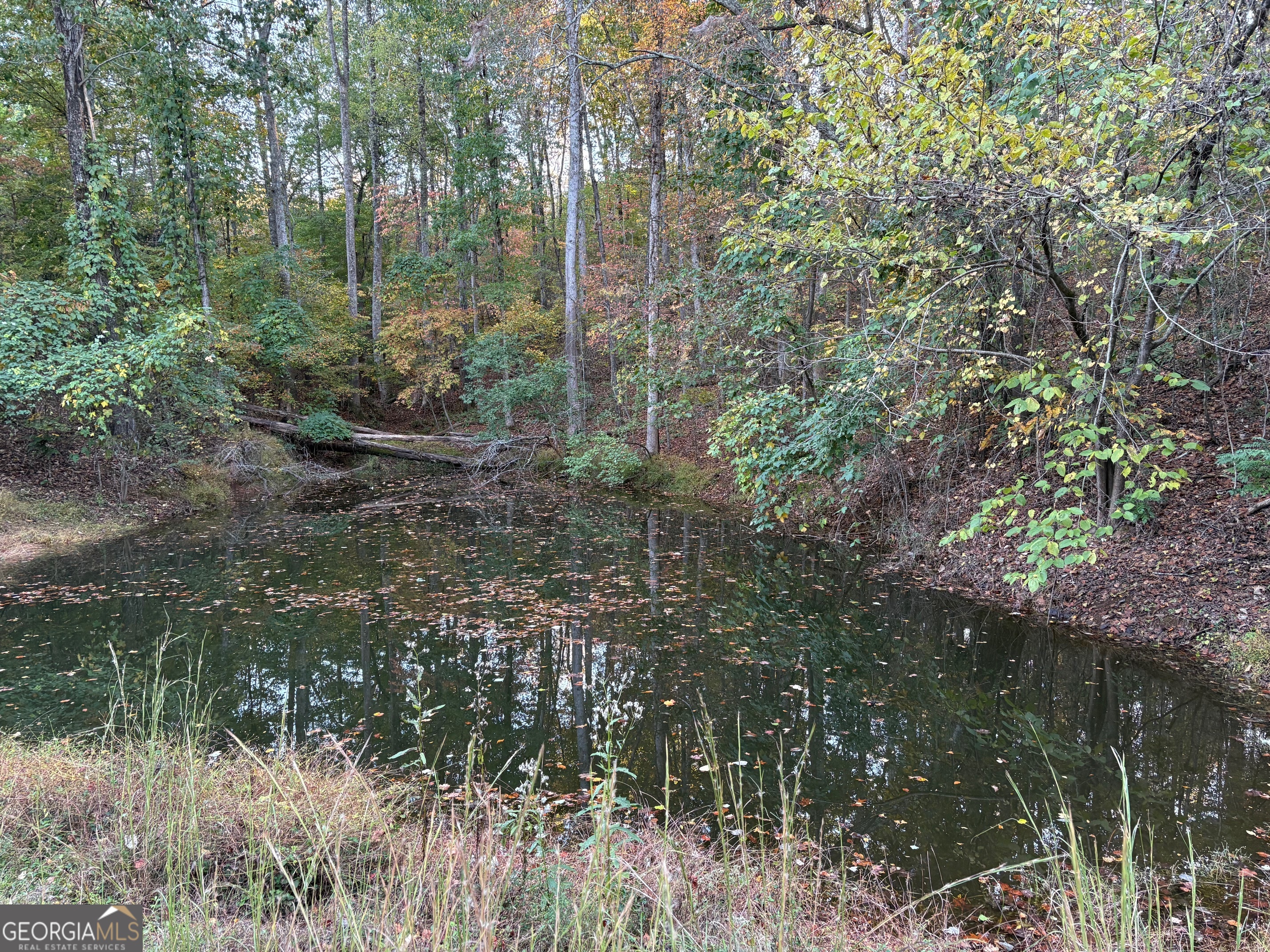 4920 Cagle Mill Road Property Photo 1