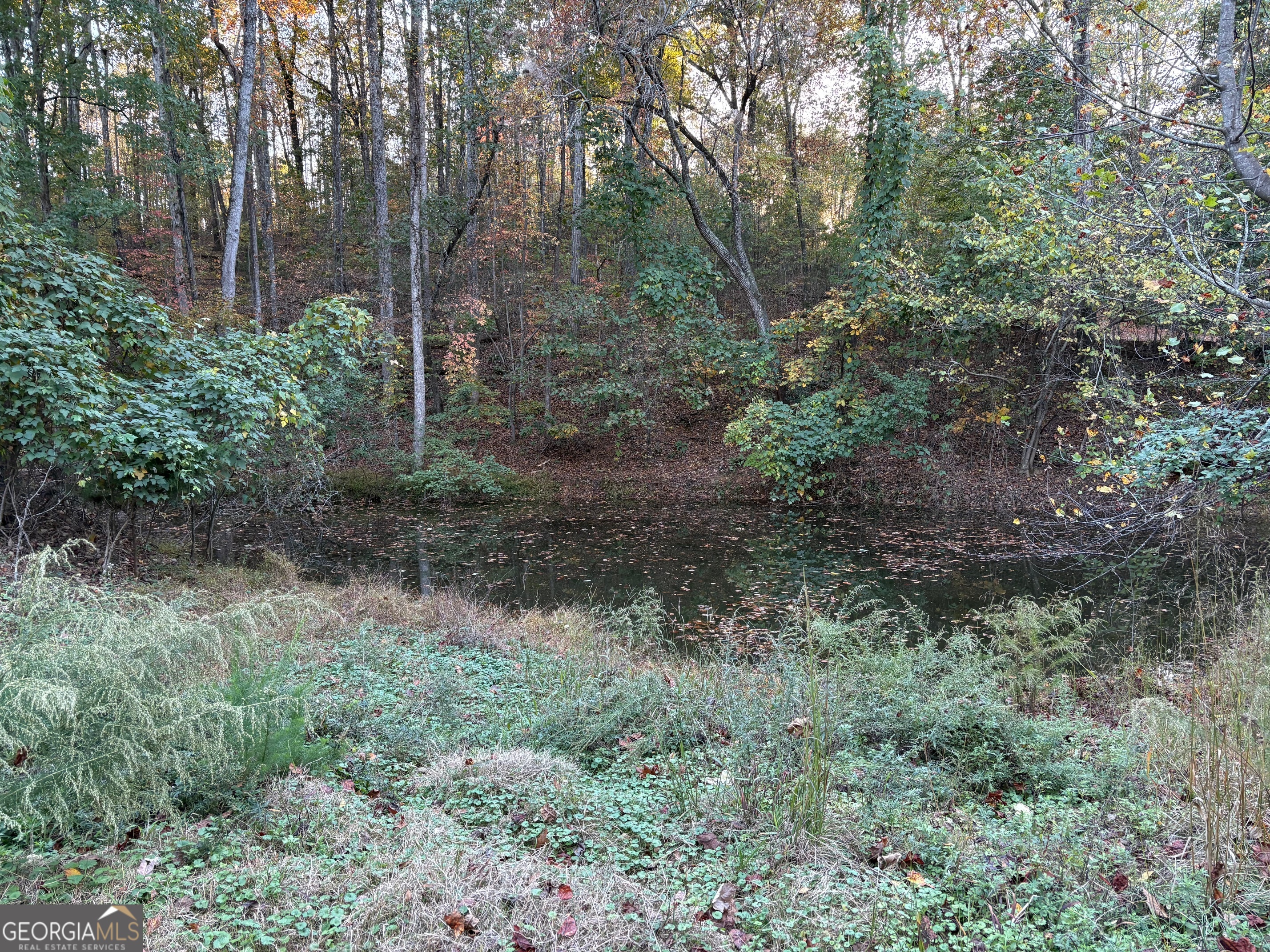 4920 Cagle Mill Road Property Photo 2