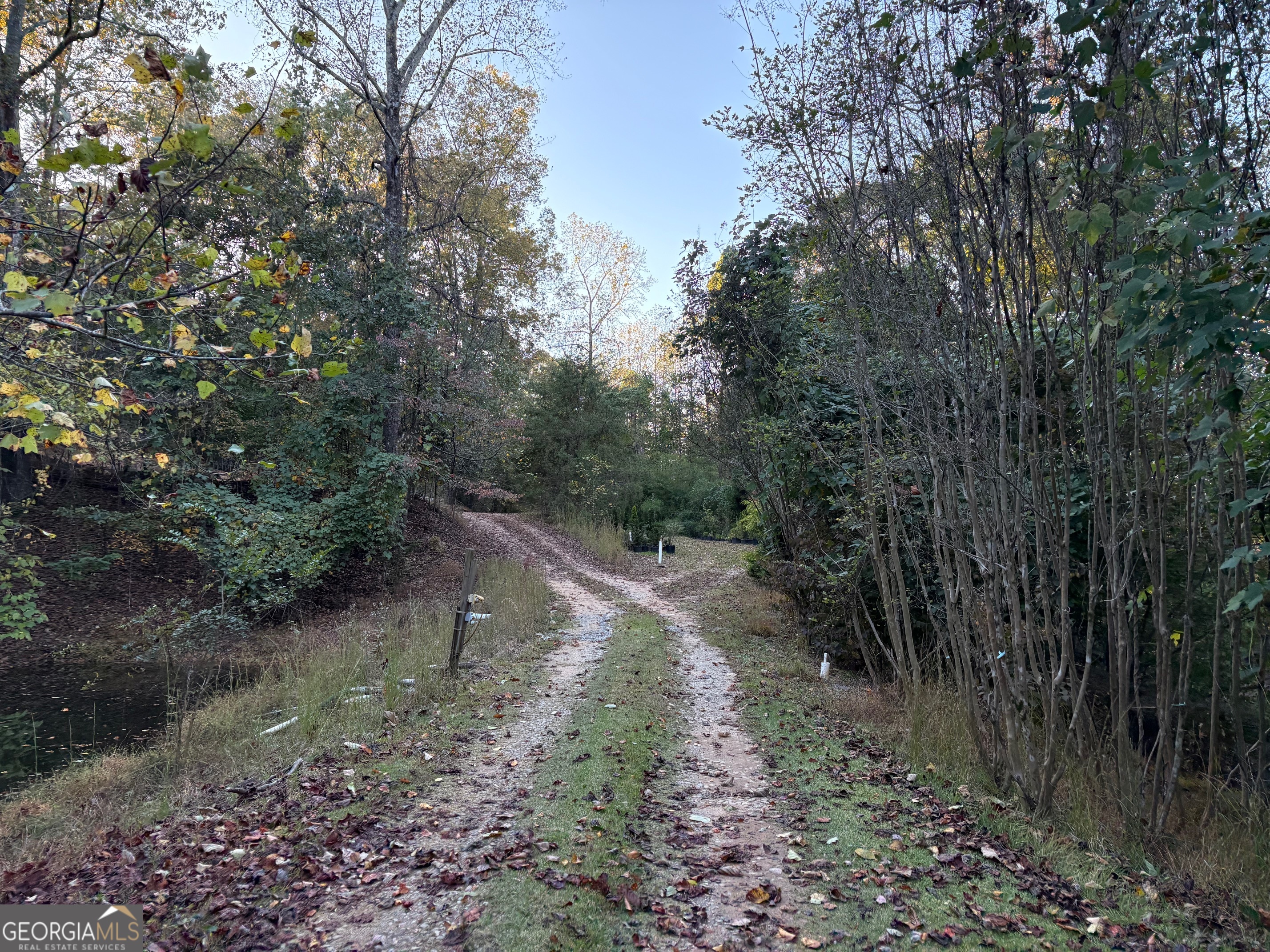 4920 Cagle Mill Road Property Photo 7