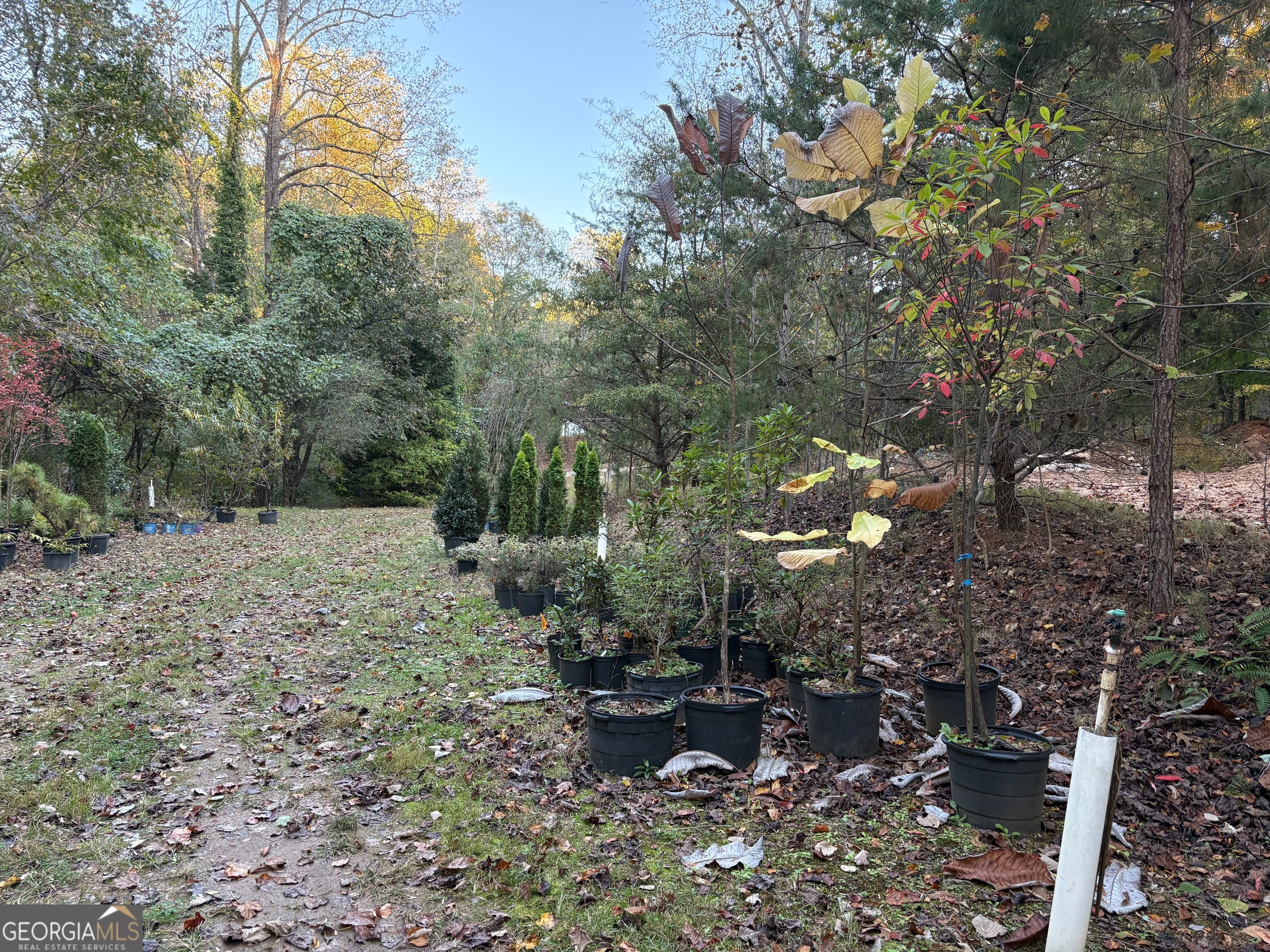 4920 Cagle Mill Road Property Photo 9