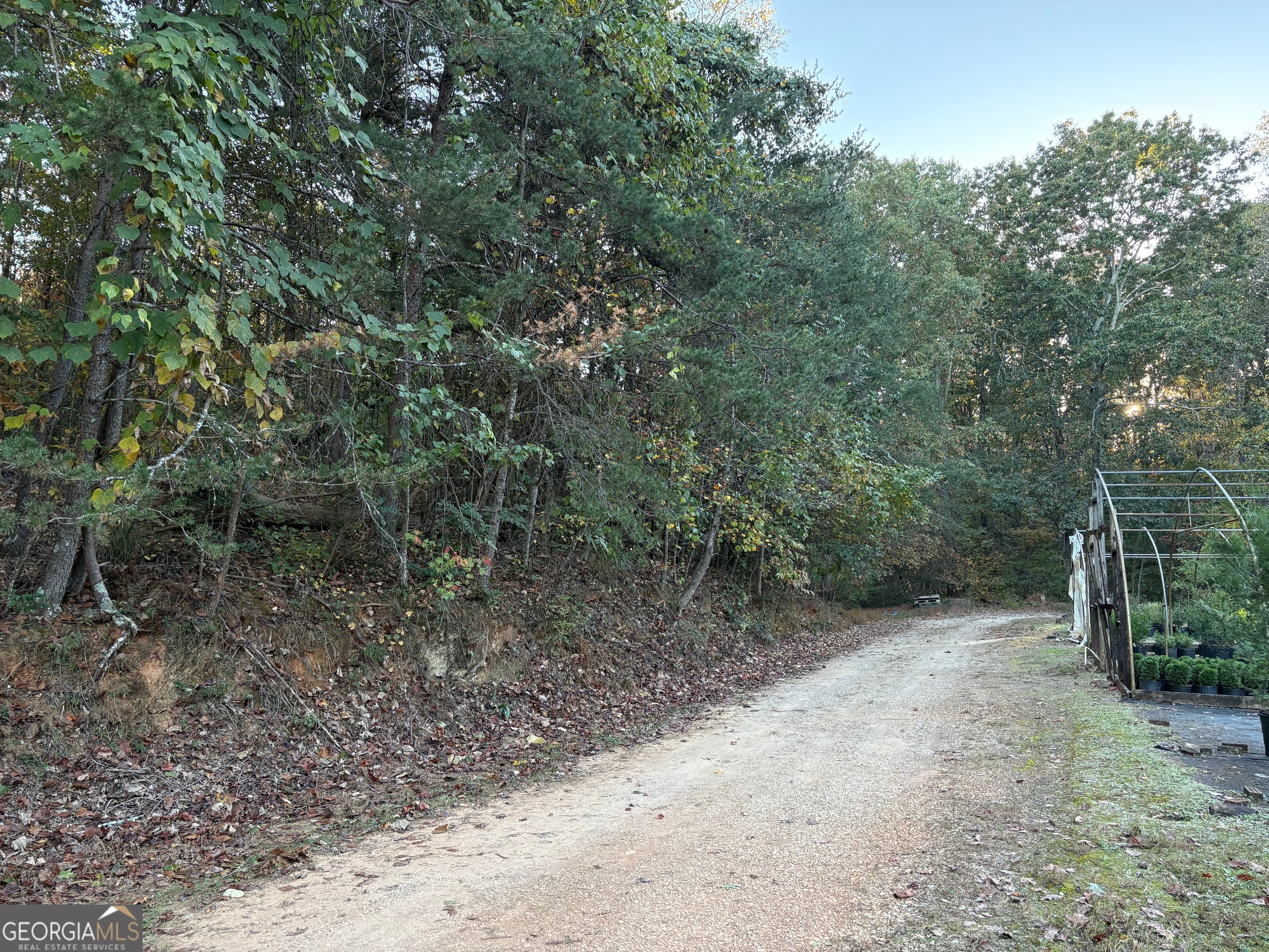 4920 Cagle Mill Road Property Photo 12
