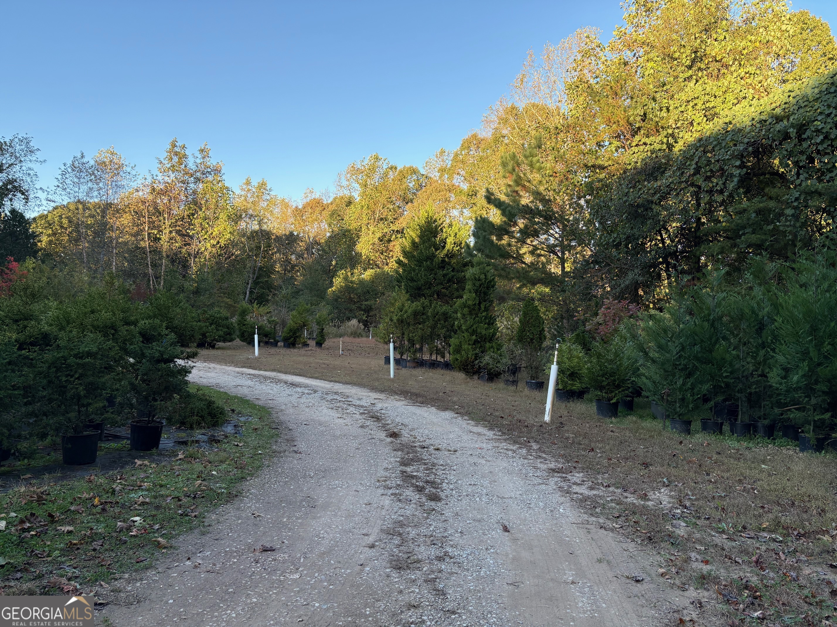 4920 Cagle Mill Road Property Photo 13