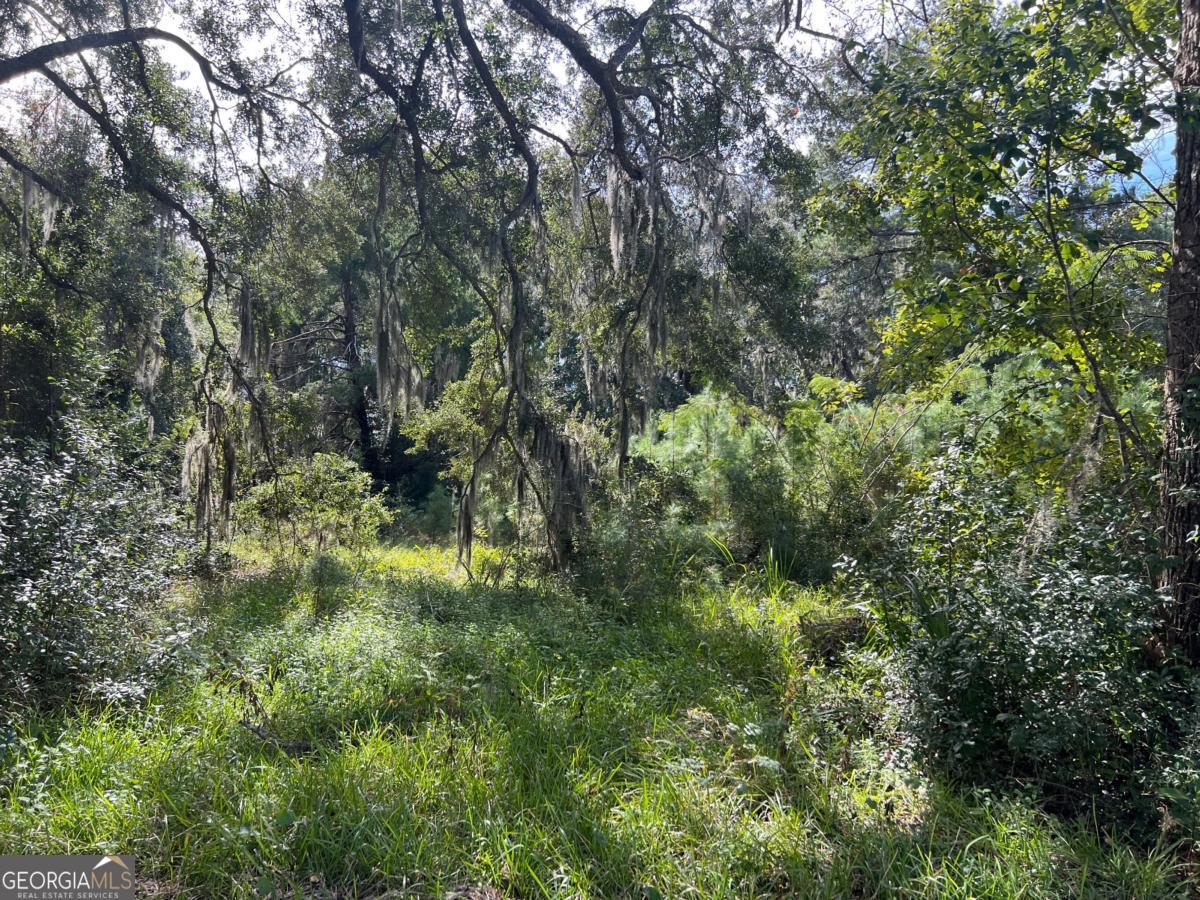 116 Smith Road Property Photo 5