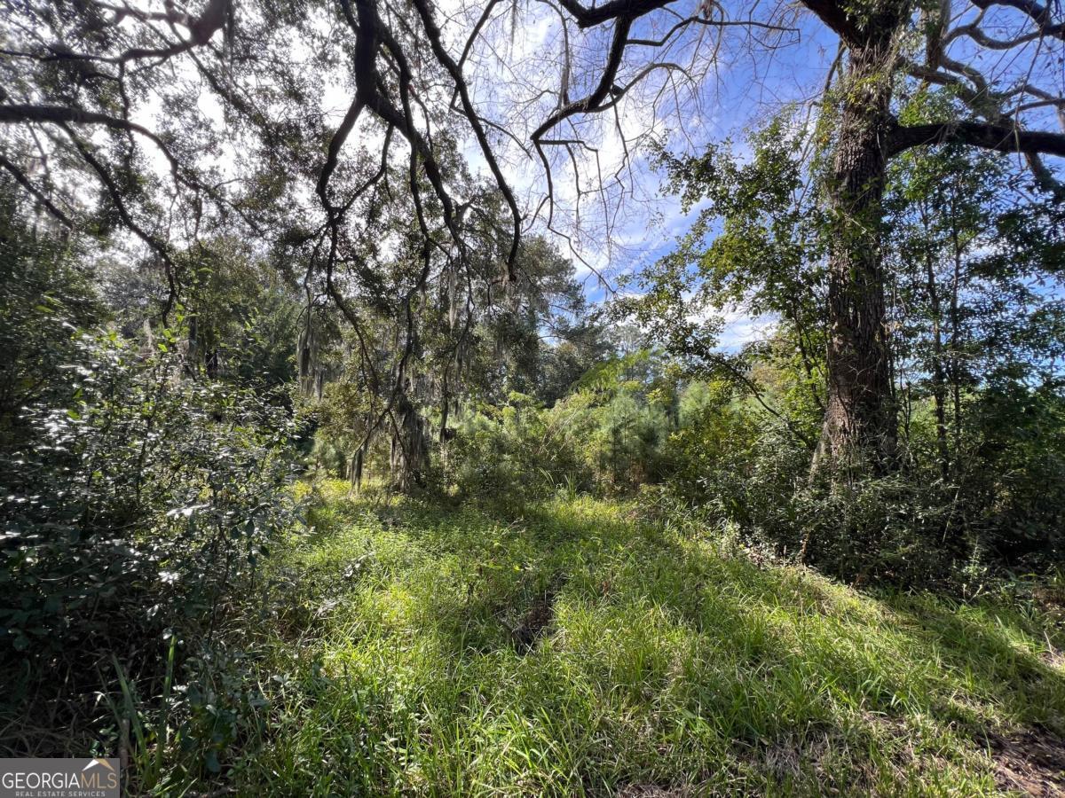116 Smith Road Property Photo 7