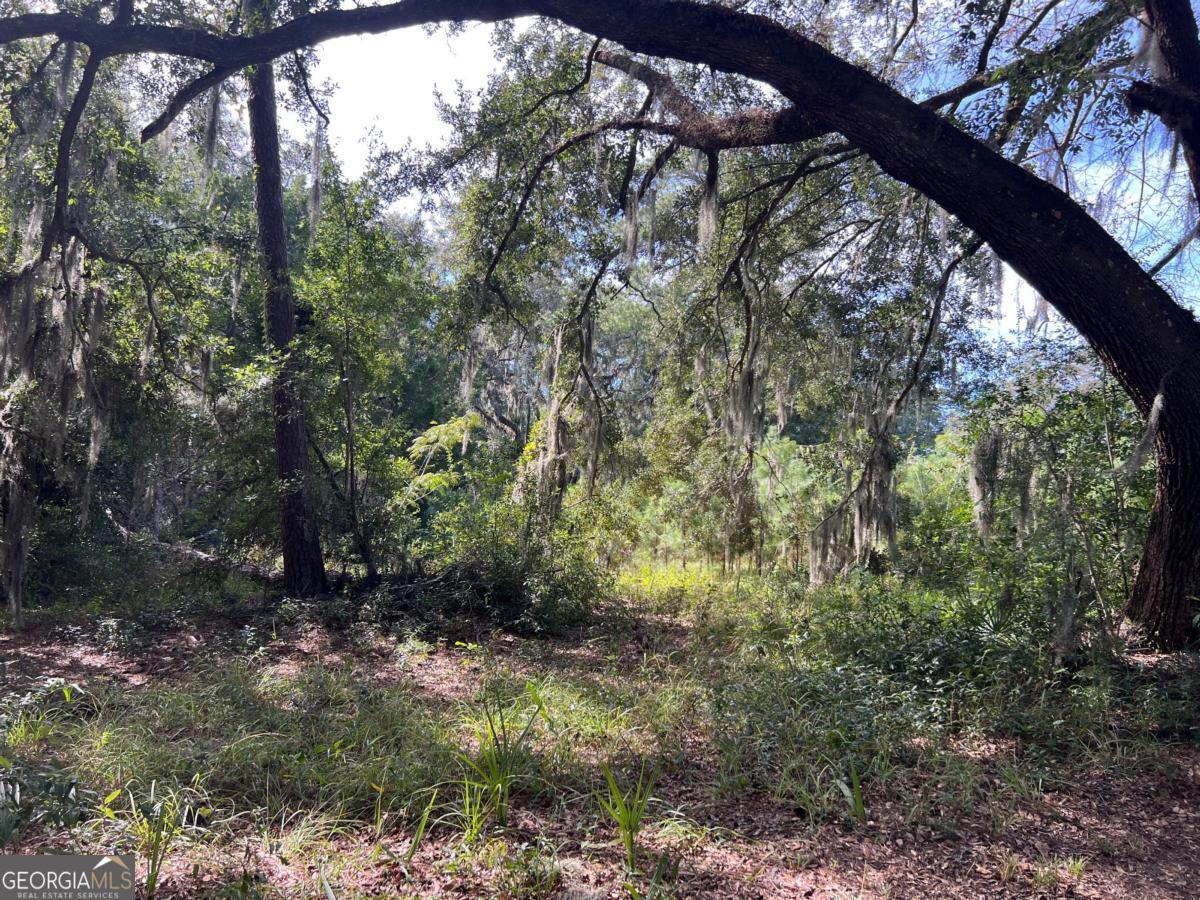 116 Smith Road Property Photo 11