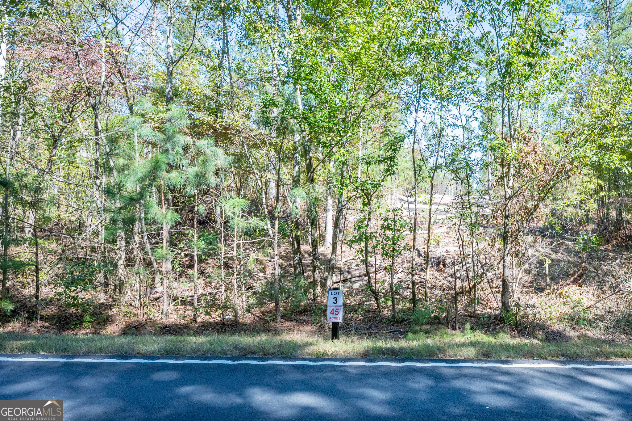 3793 Hwy 140 Ne Property Photo 2