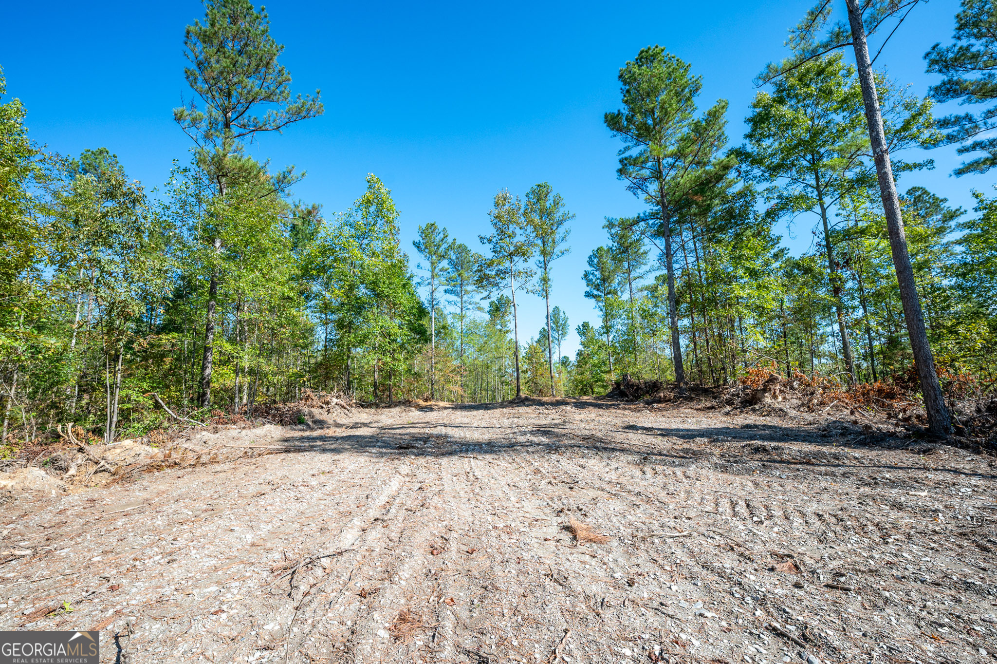 3793 Hwy 140 Ne Property Photo 3