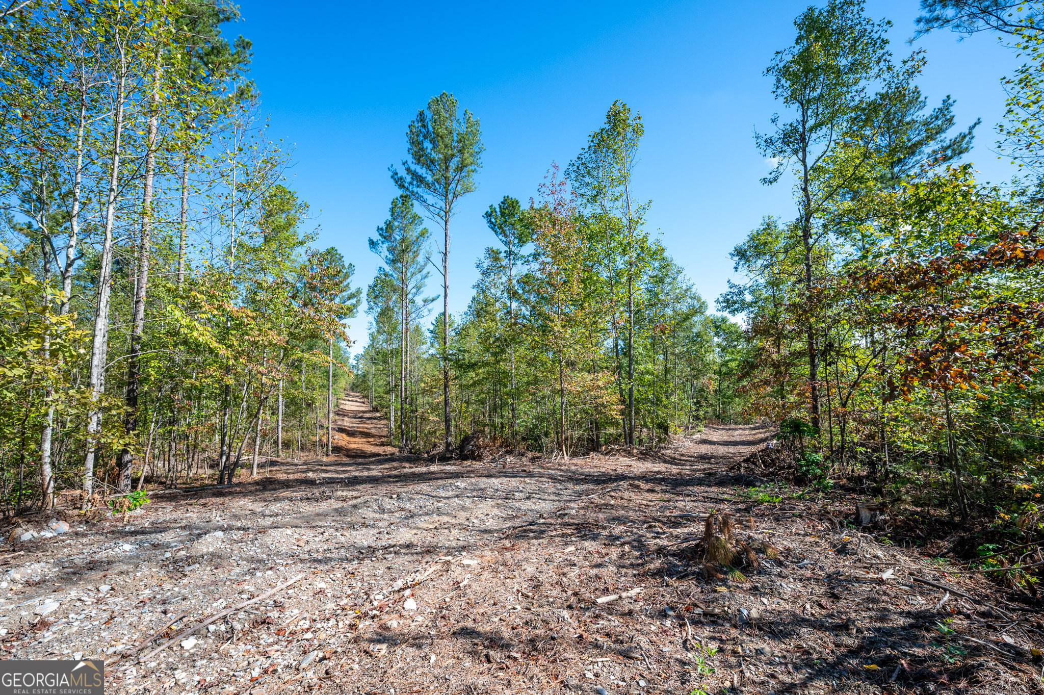 3793 Hwy 140 Ne Property Photo 4