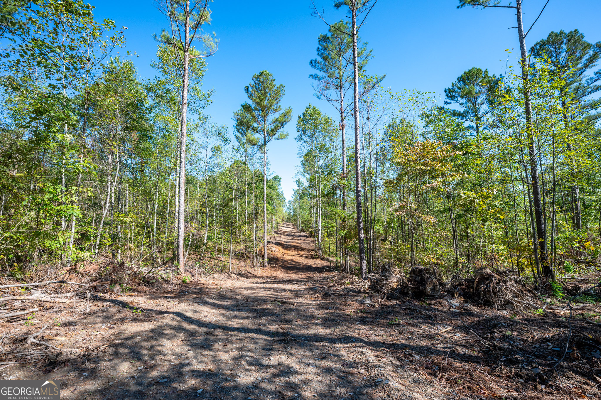 3793 Hwy 140 Ne Property Photo 5