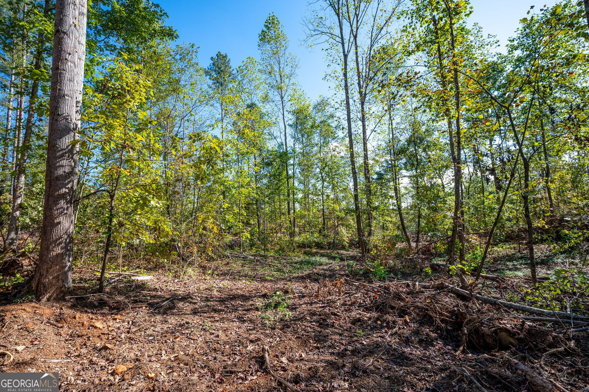 3793 Hwy 140 Ne Property Photo 6