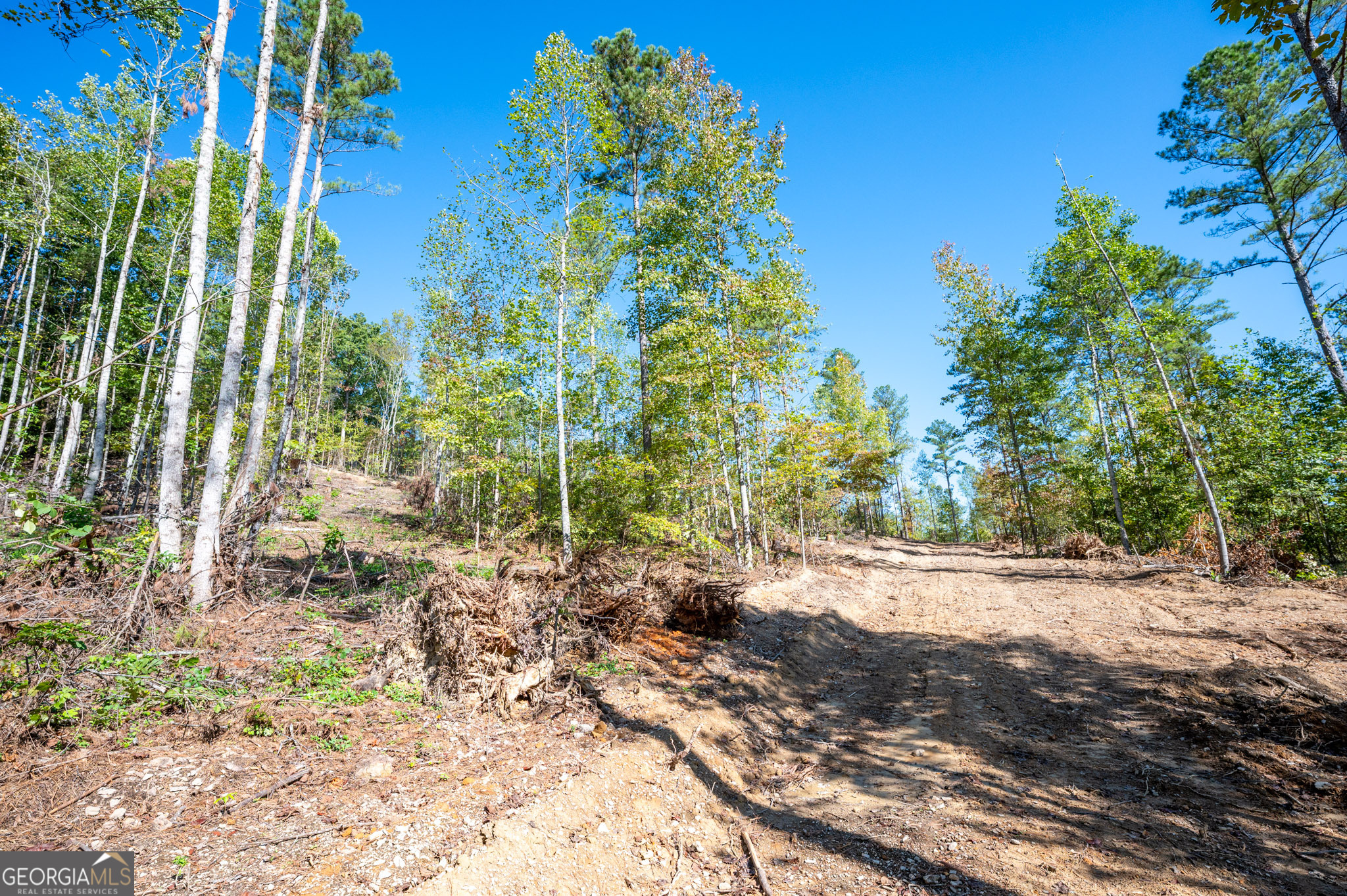 3793 Hwy 140 Ne Property Photo 8
