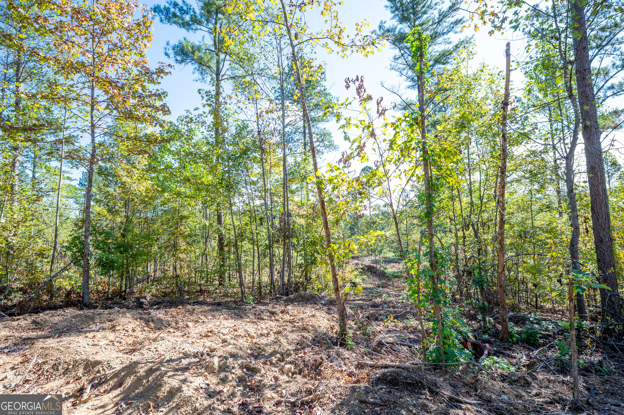 3793 Hwy 140 Ne Property Photo 9