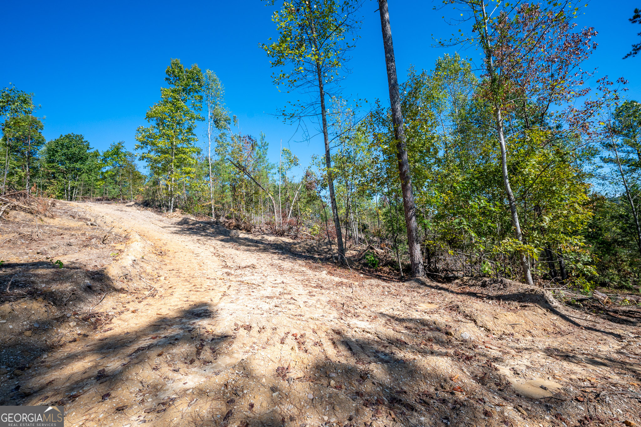 3793 Hwy 140 Ne Property Photo 10