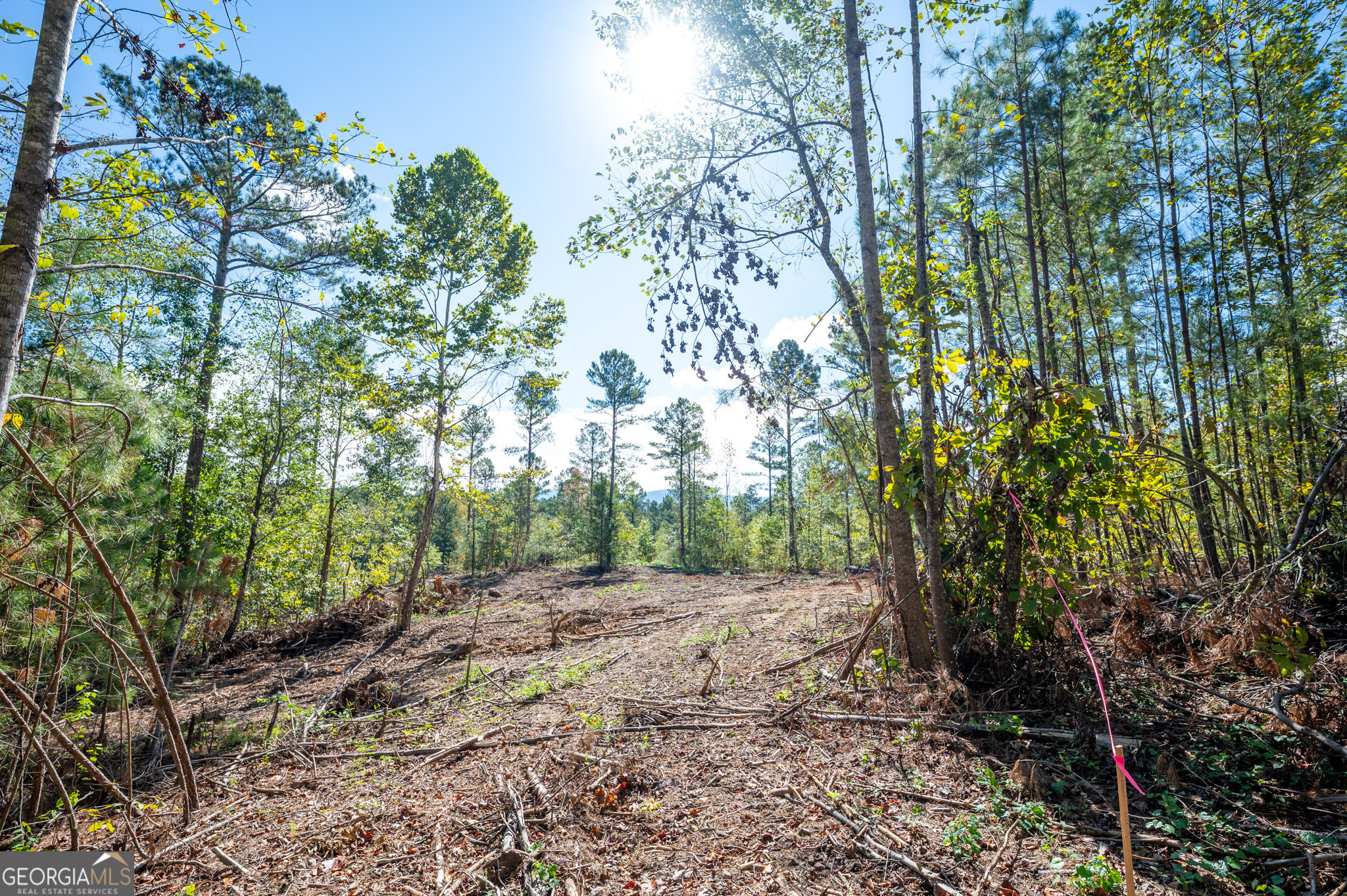 3793 Hwy 140 Ne Property Photo 16