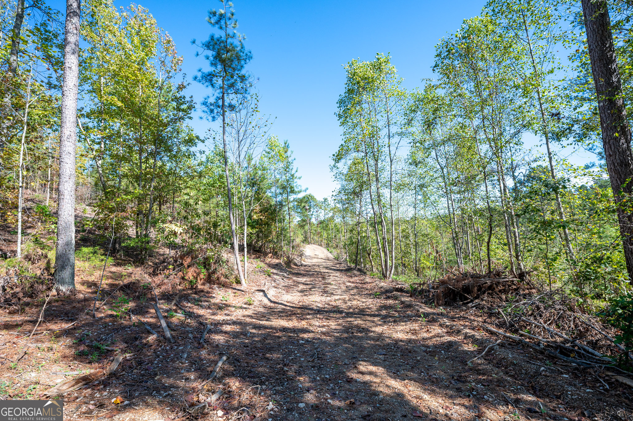 3793 Hwy 140 Ne Property Photo 17