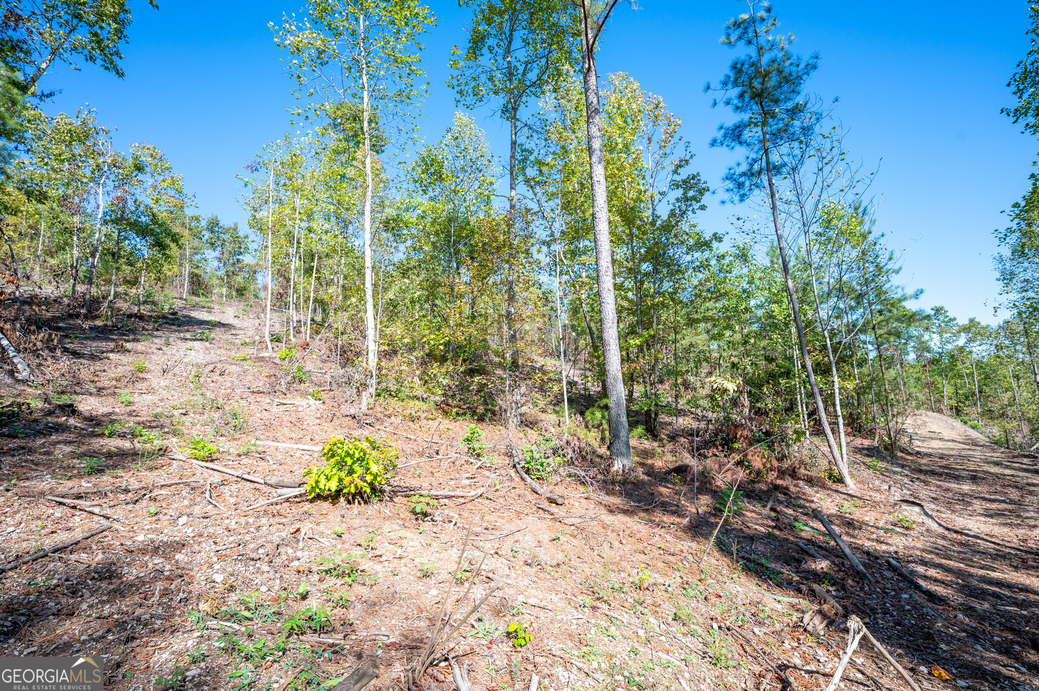 3793 Hwy 140 Ne Property Photo 18