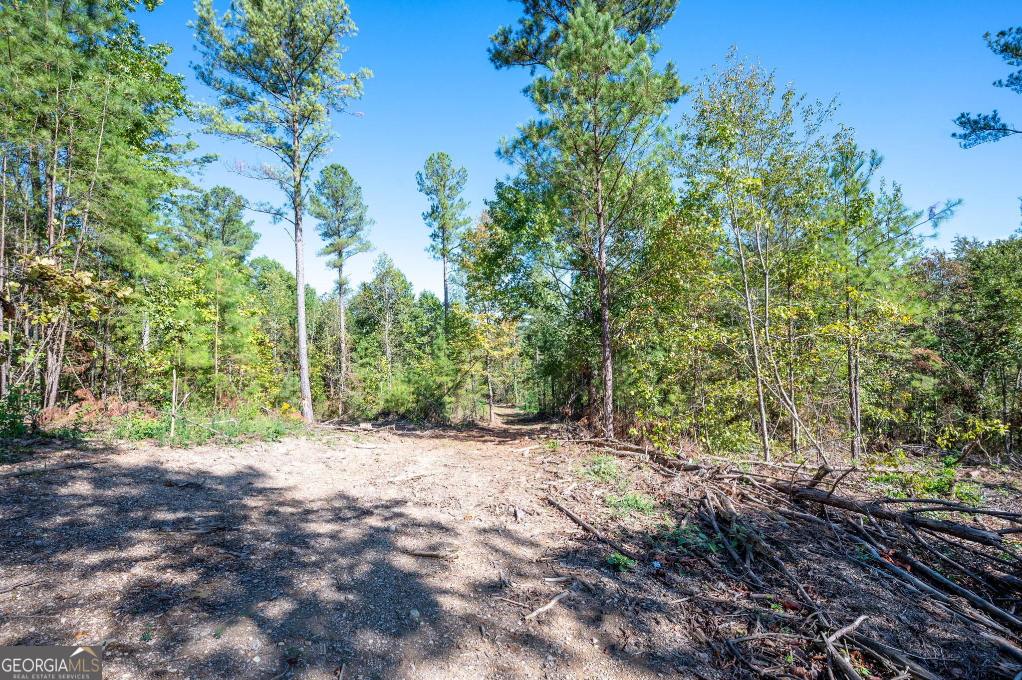 3793 Hwy 140 Ne Property Photo 19