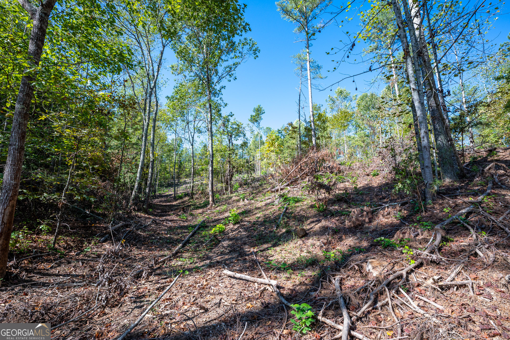 3793 Hwy 140 Ne Property Photo 20
