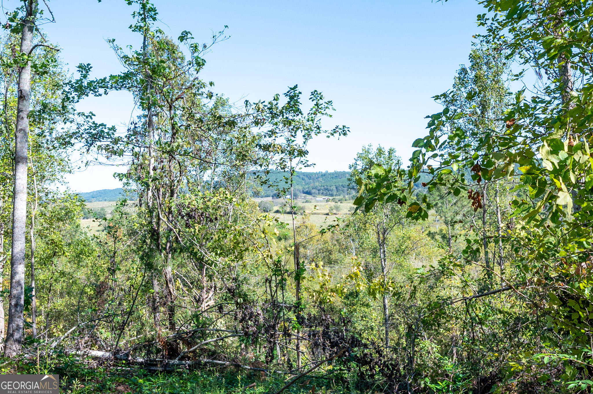 3793 Hwy 140 Ne Property Photo 21