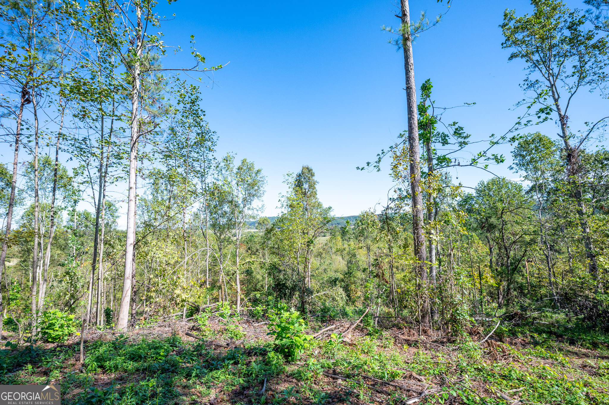 3793 Hwy 140 Ne Property Photo 22