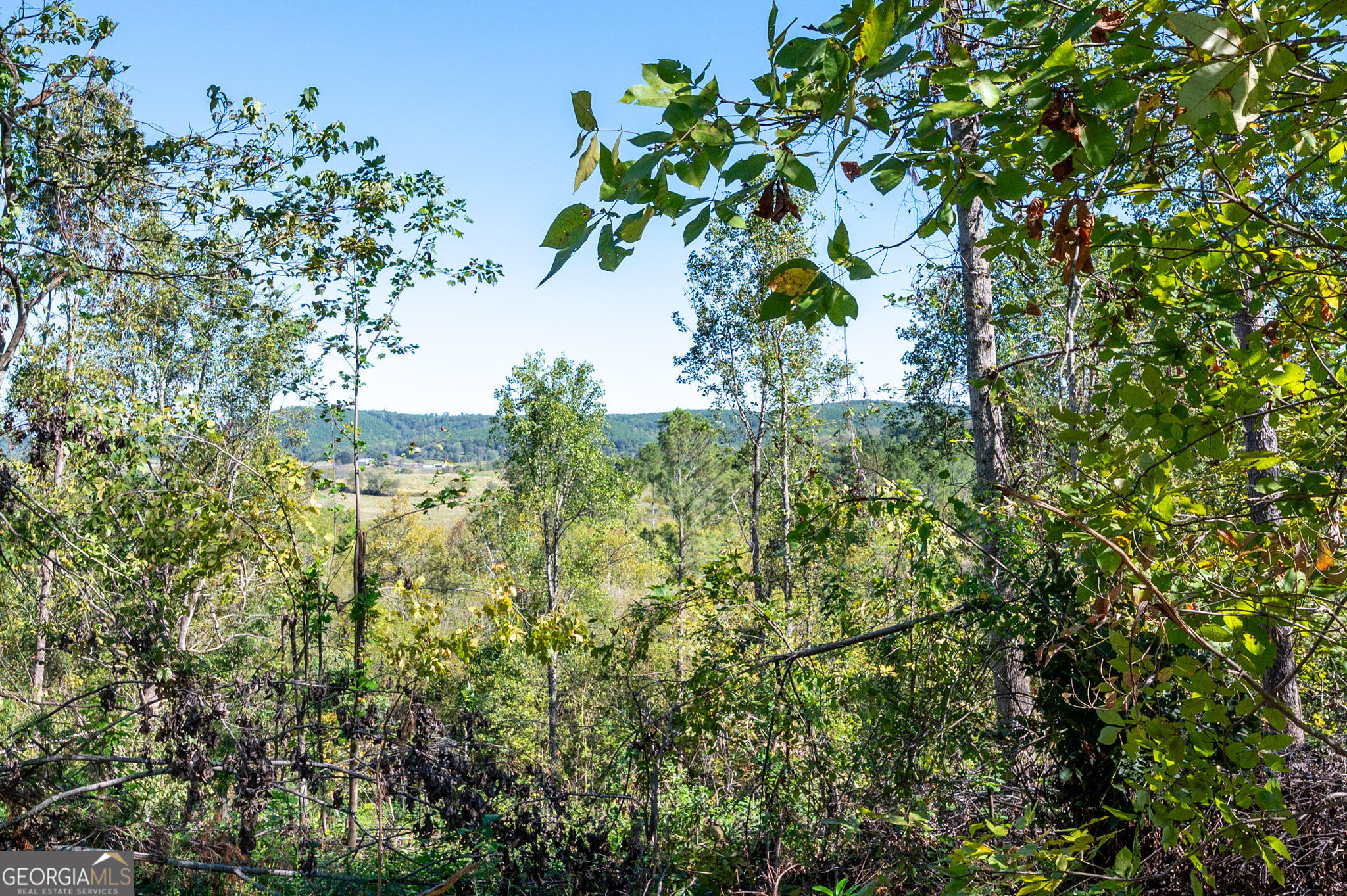 3793 Hwy 140 Ne Property Photo 23