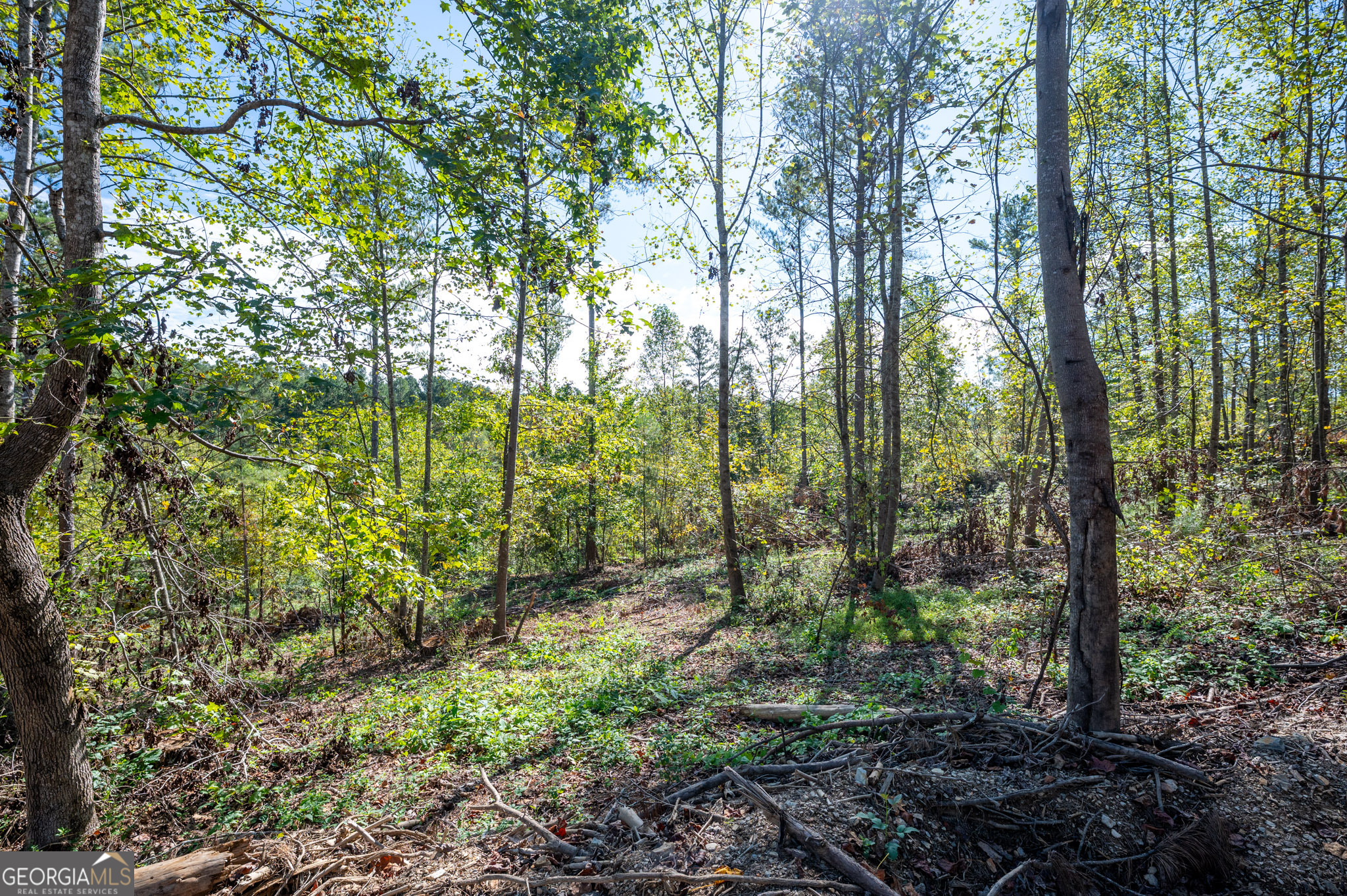 3793 Hwy 140 Ne Property Photo 24