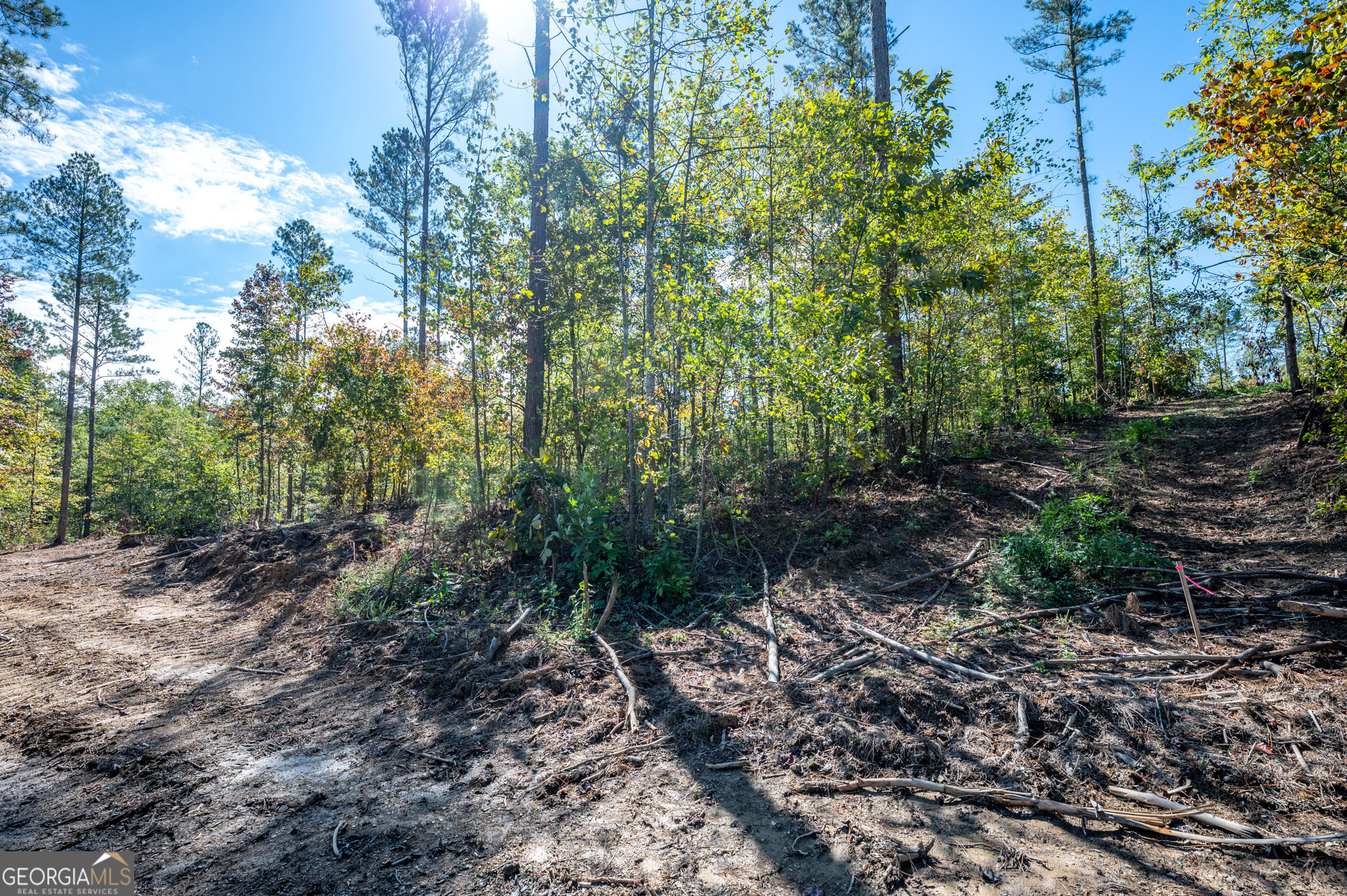 3809 Hwy 140 Ne Property Photo 3