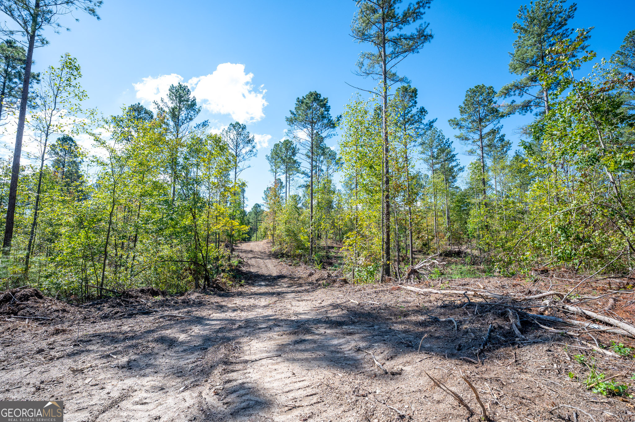 3809 Hwy 140 Ne Property Photo 5