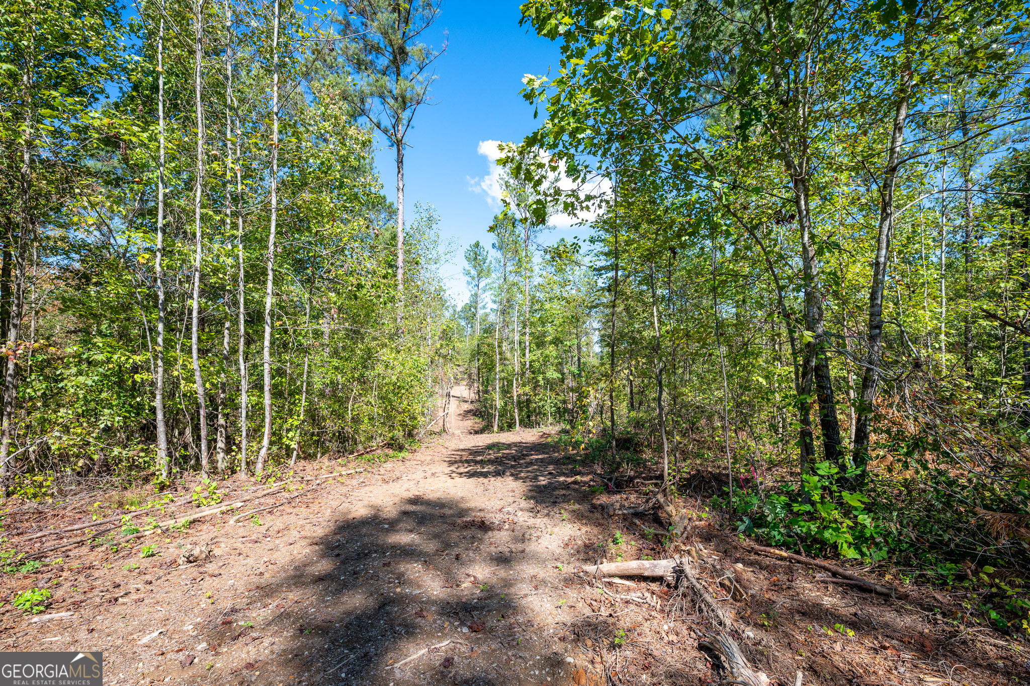 3809 Hwy 140 Ne Property Photo 13