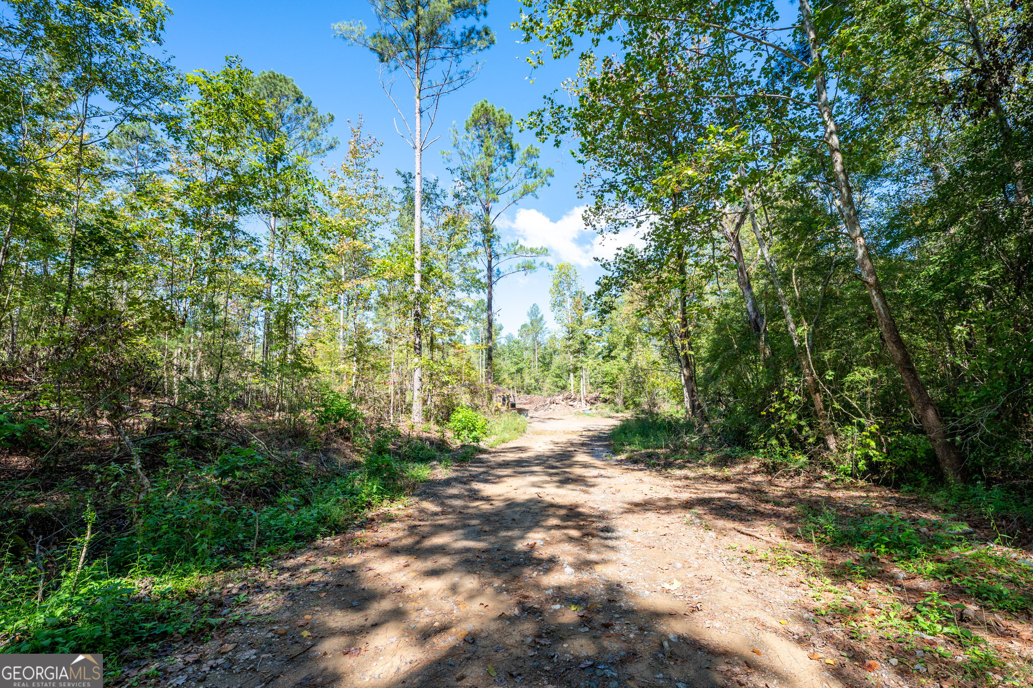 3809 Hwy 140 Ne Property Photo 14