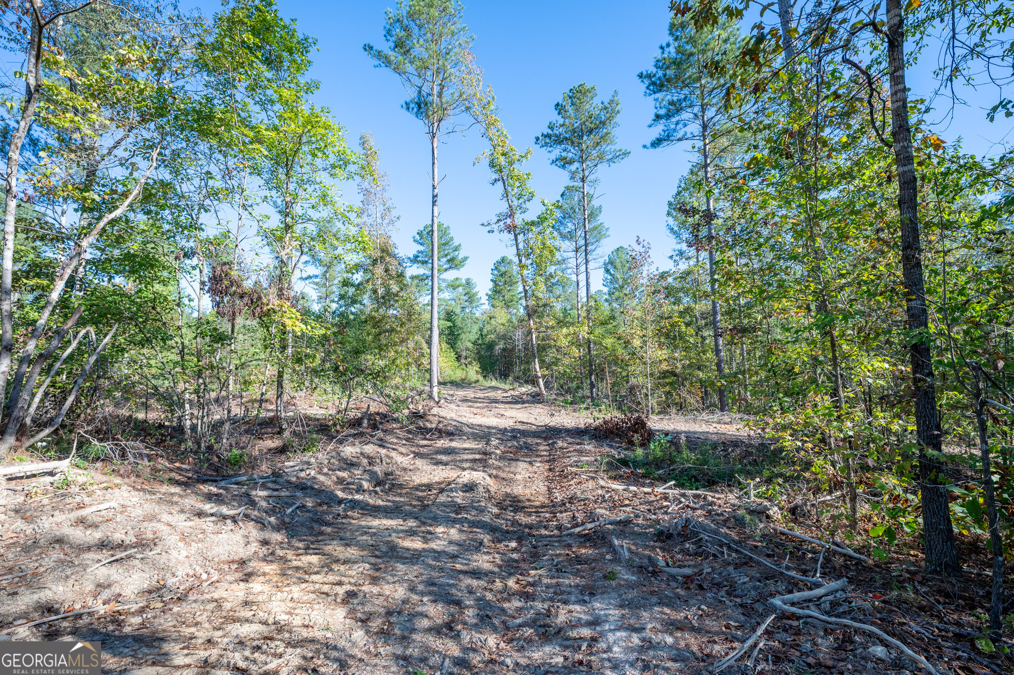 3863 Hwy 140 Ne Property Photo 2