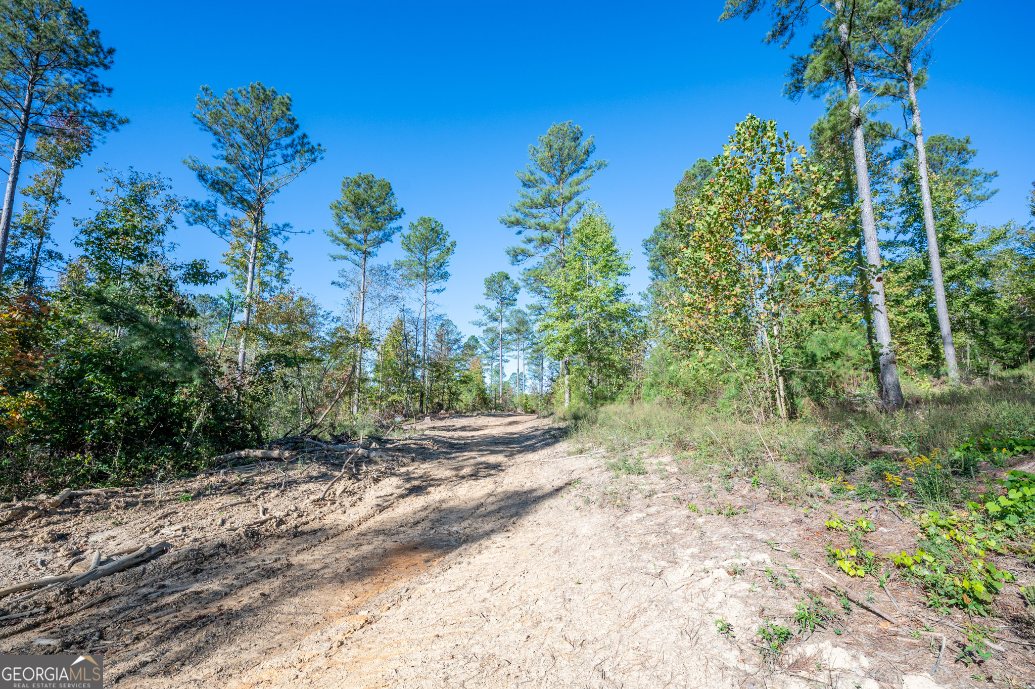 3863 Hwy 140 Ne Property Photo 3