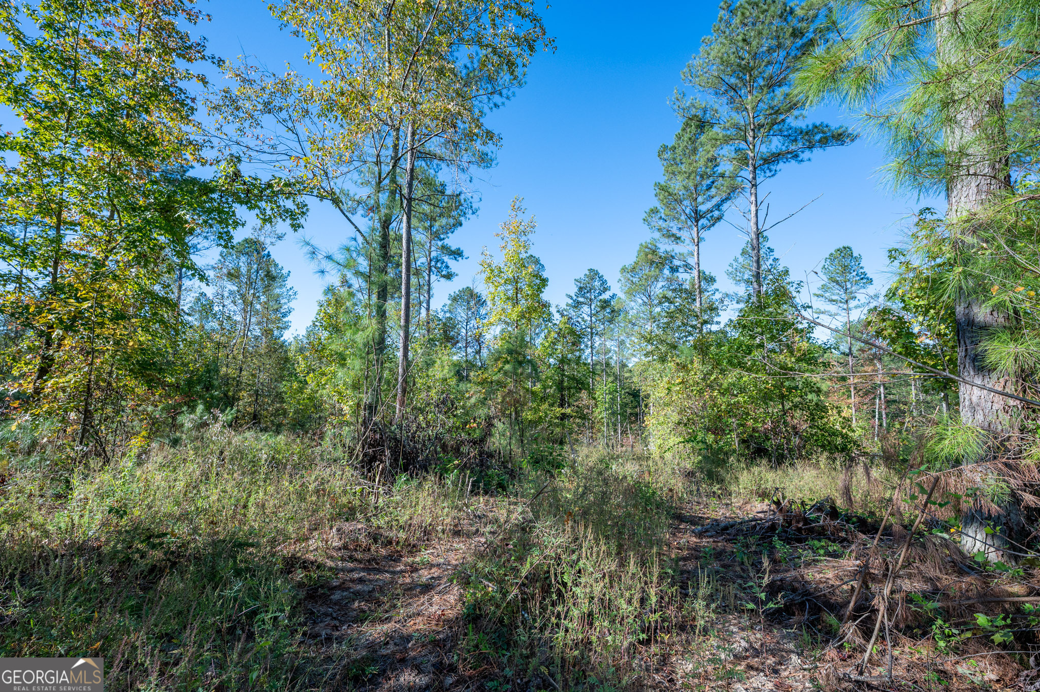 3863 Hwy 140 Ne Property Photo 5