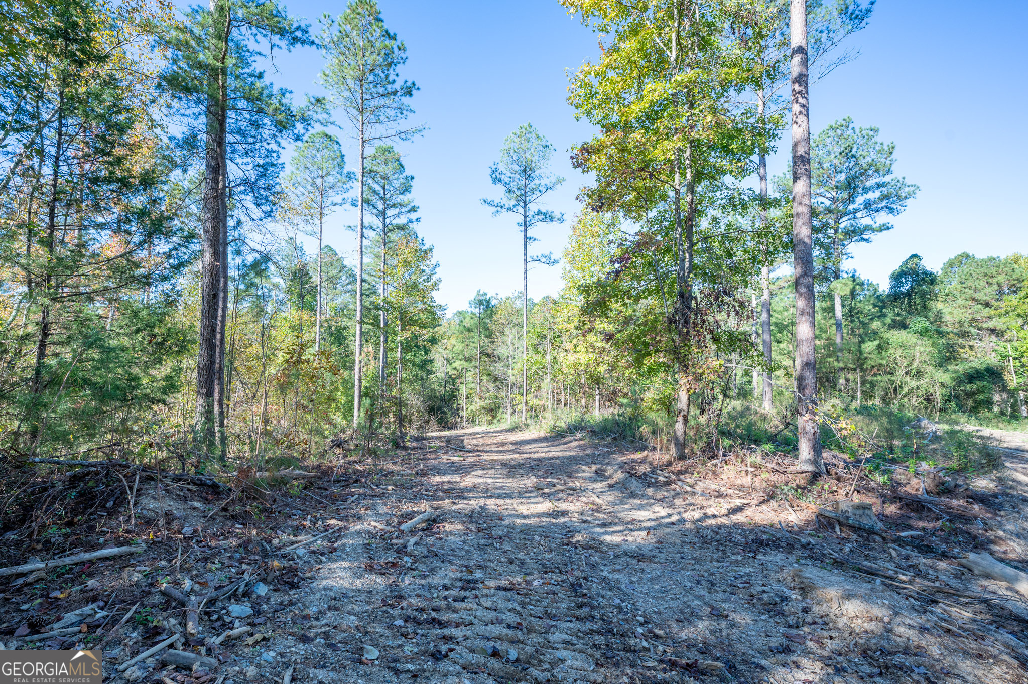 3863 Hwy 140 Ne Property Photo 6