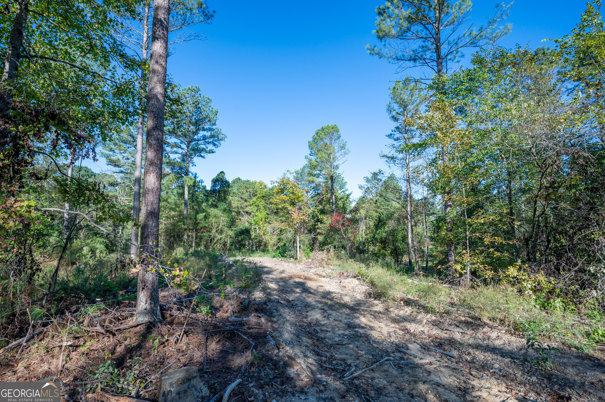 3863 Hwy 140 Ne Property Photo 7