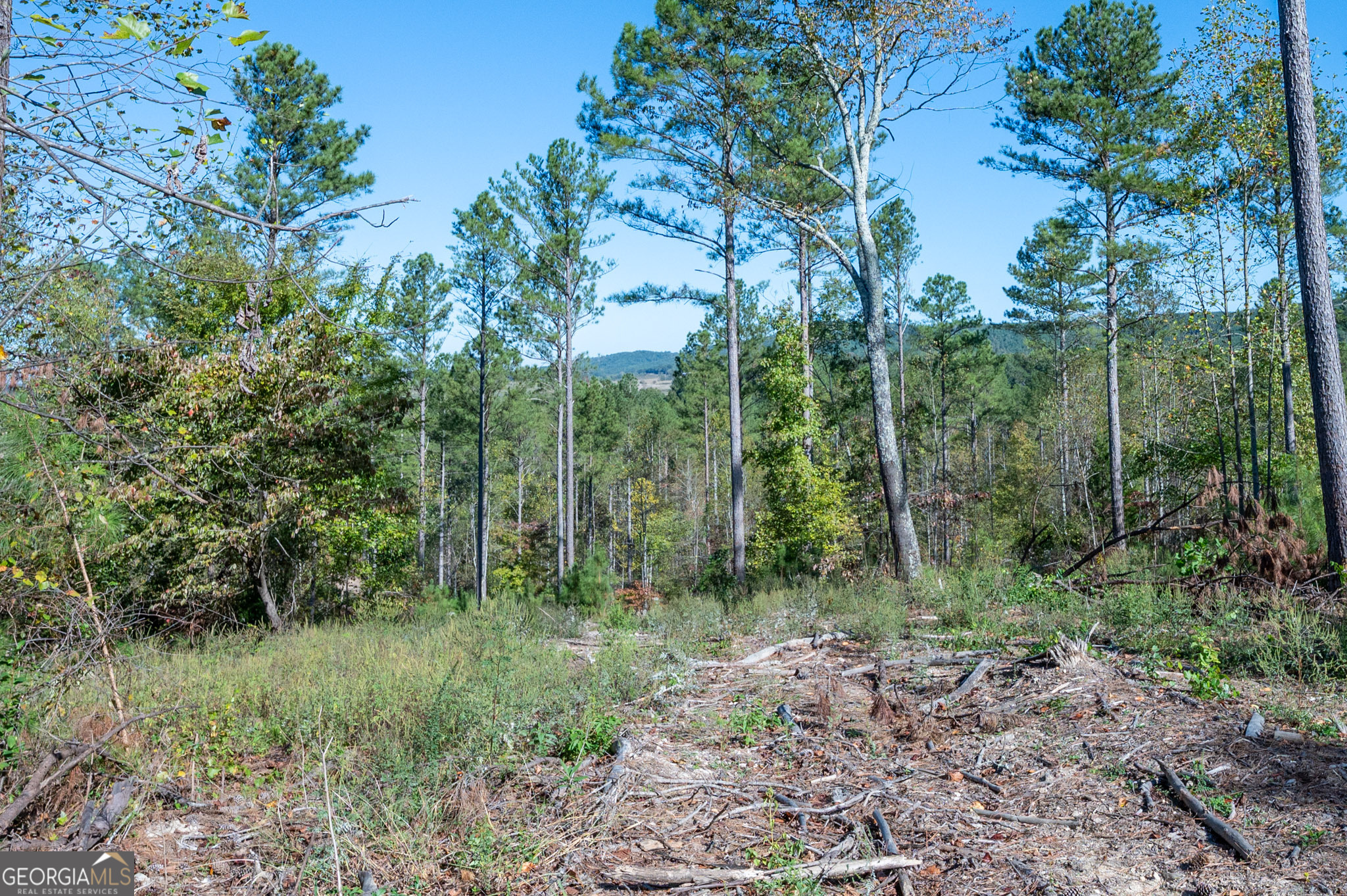 3871 Hwy 140 Ne Property Photo 5