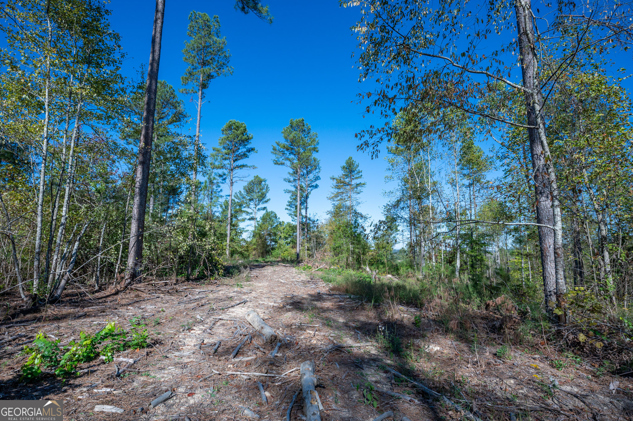 3871 Hwy 140 Ne Property Photo 6