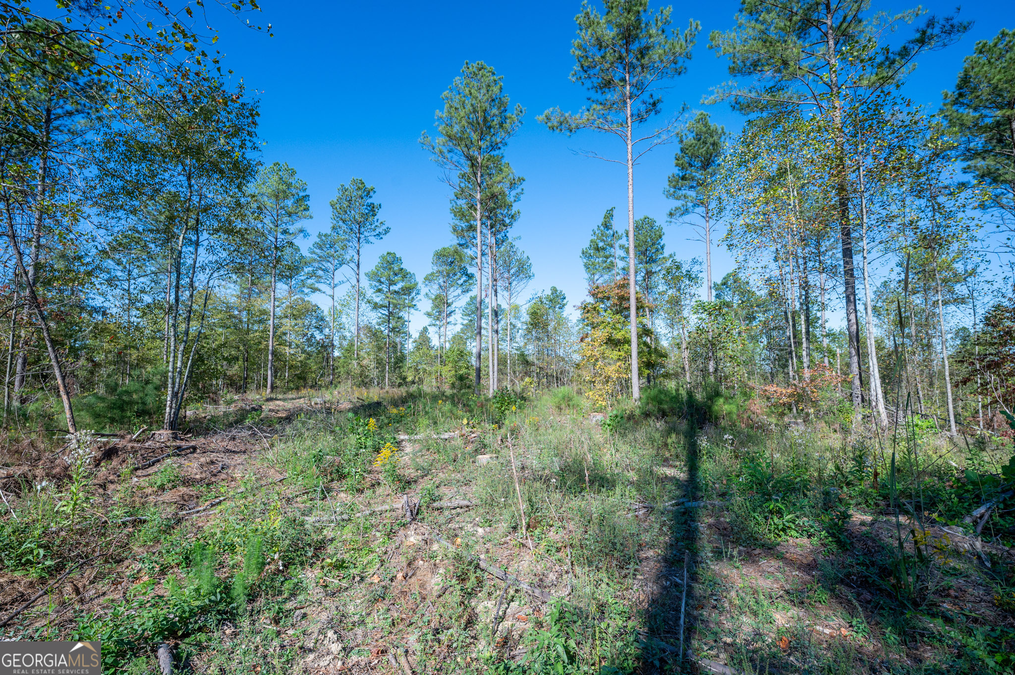 3871 Hwy 140 Ne Property Photo 10