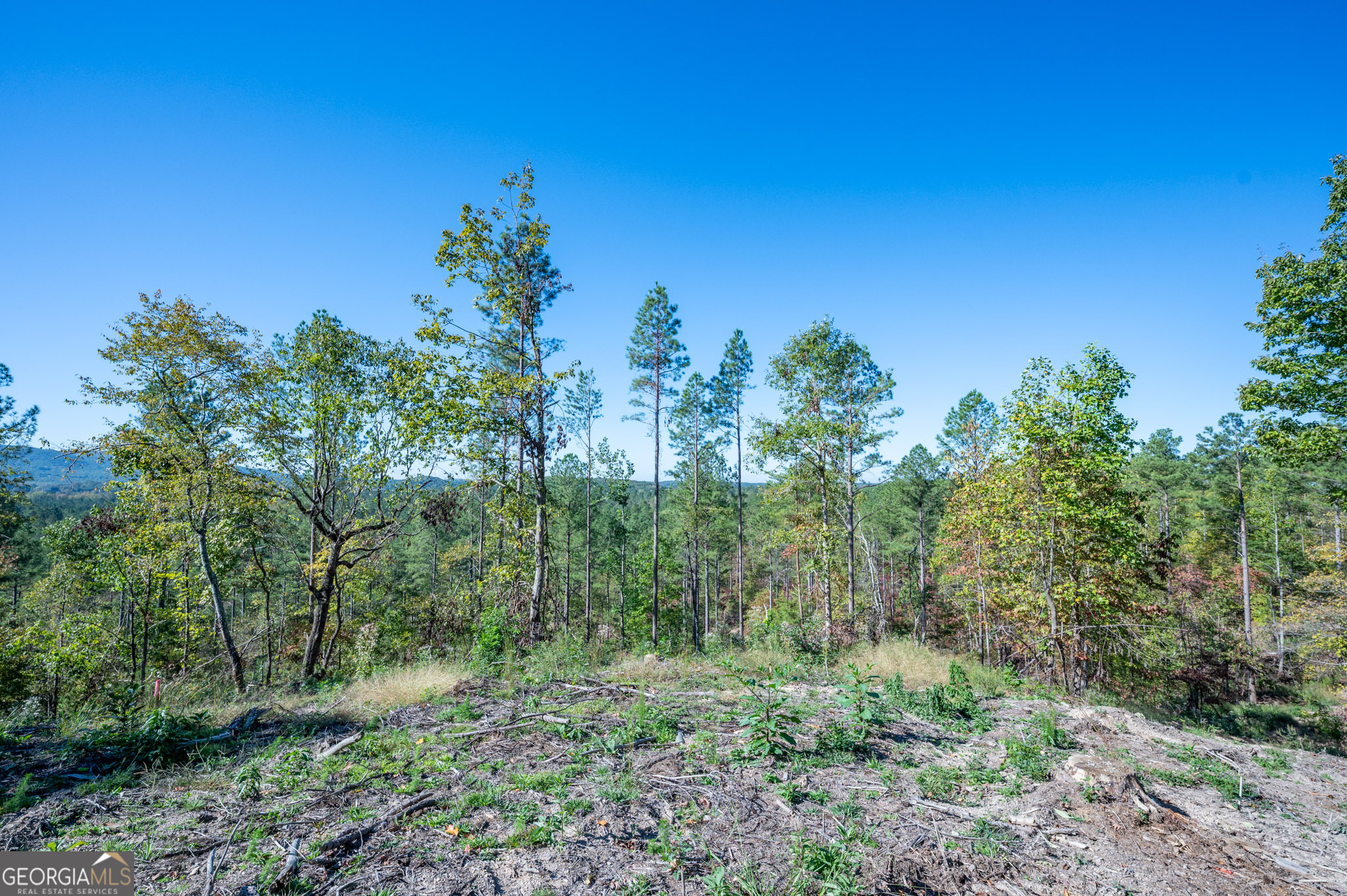 3875 Hwy 140 Ne Property Photo 3