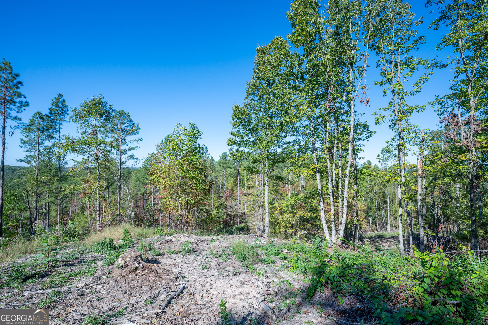 3875 Hwy 140 Ne Property Photo 4