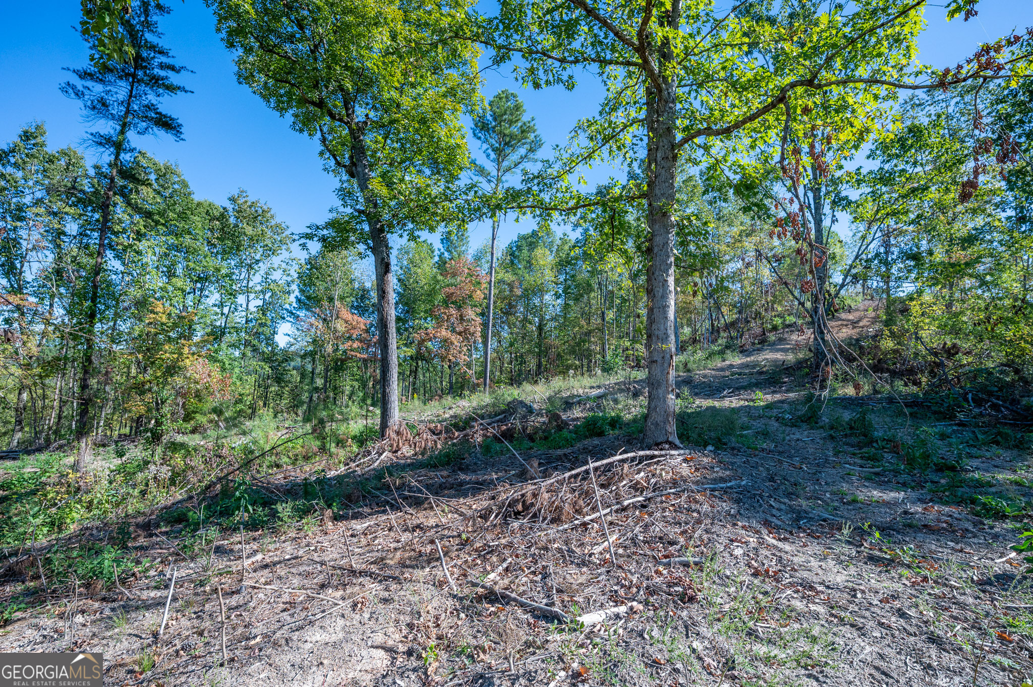3875 Hwy 140 Ne Property Photo 5