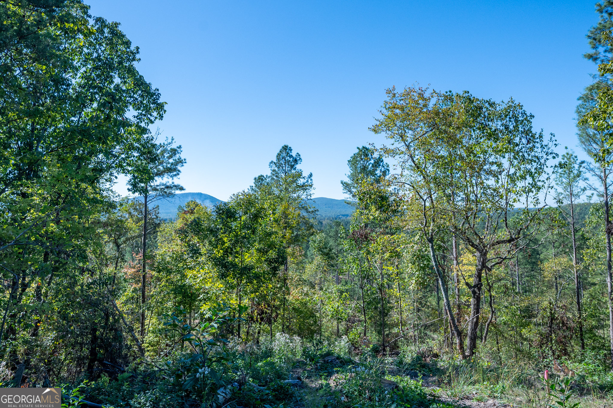 3875 Hwy 140 Ne Property Photo 6