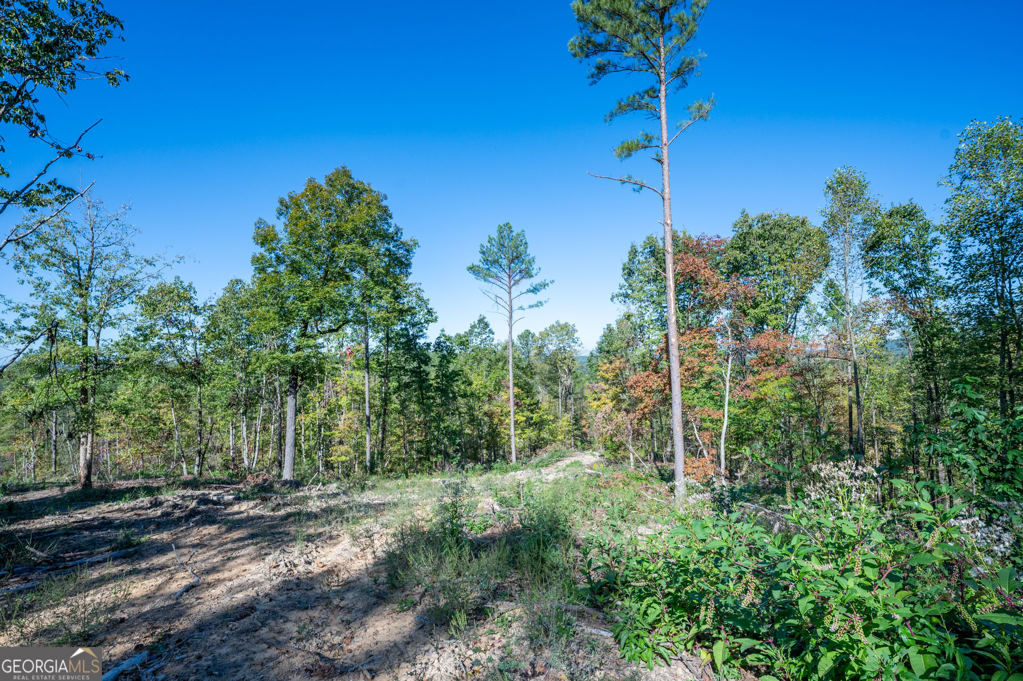3875 Hwy 140 Ne Property Photo 8