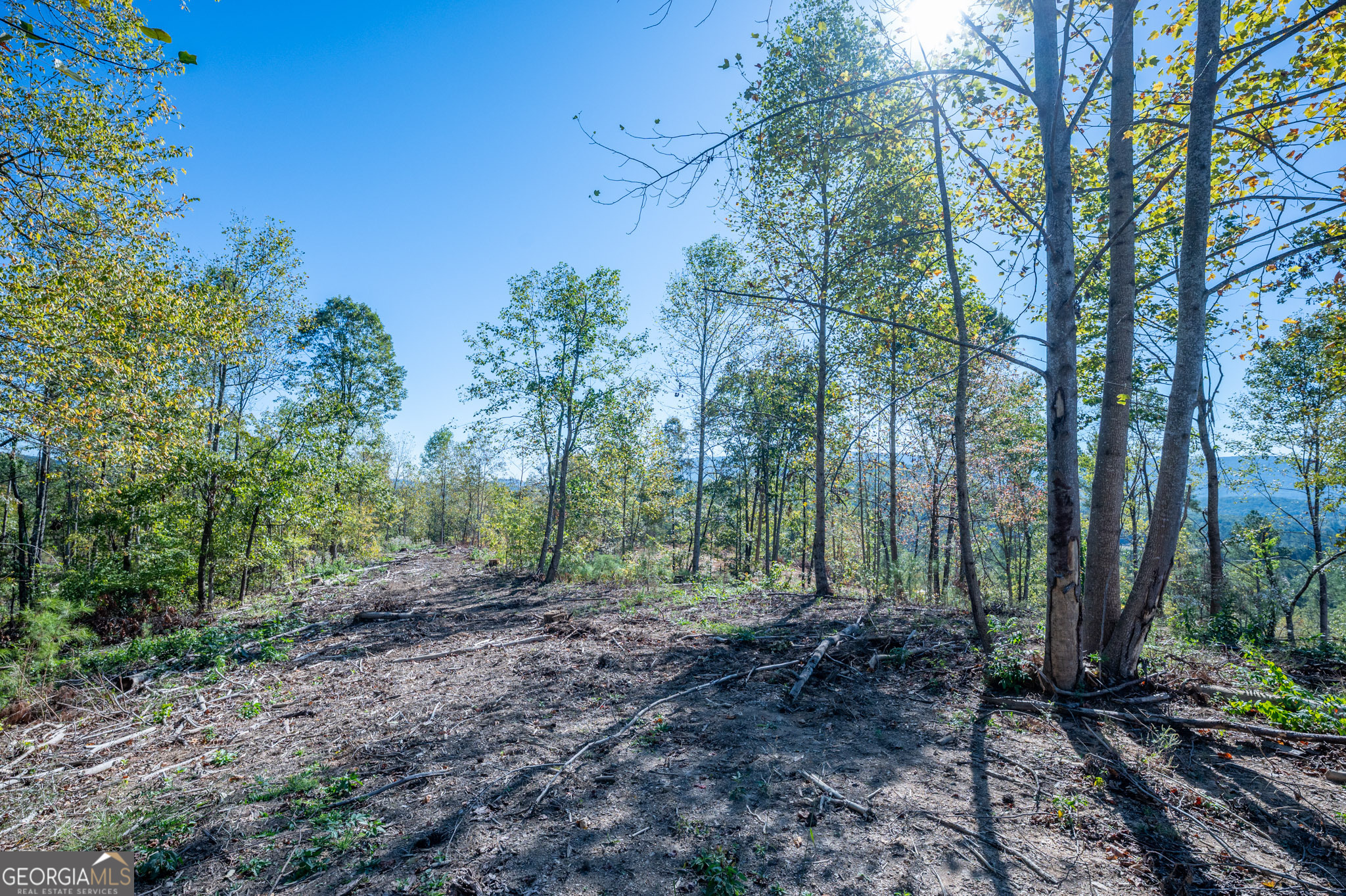 3879 Hwy 140 Ne Property Photo 4