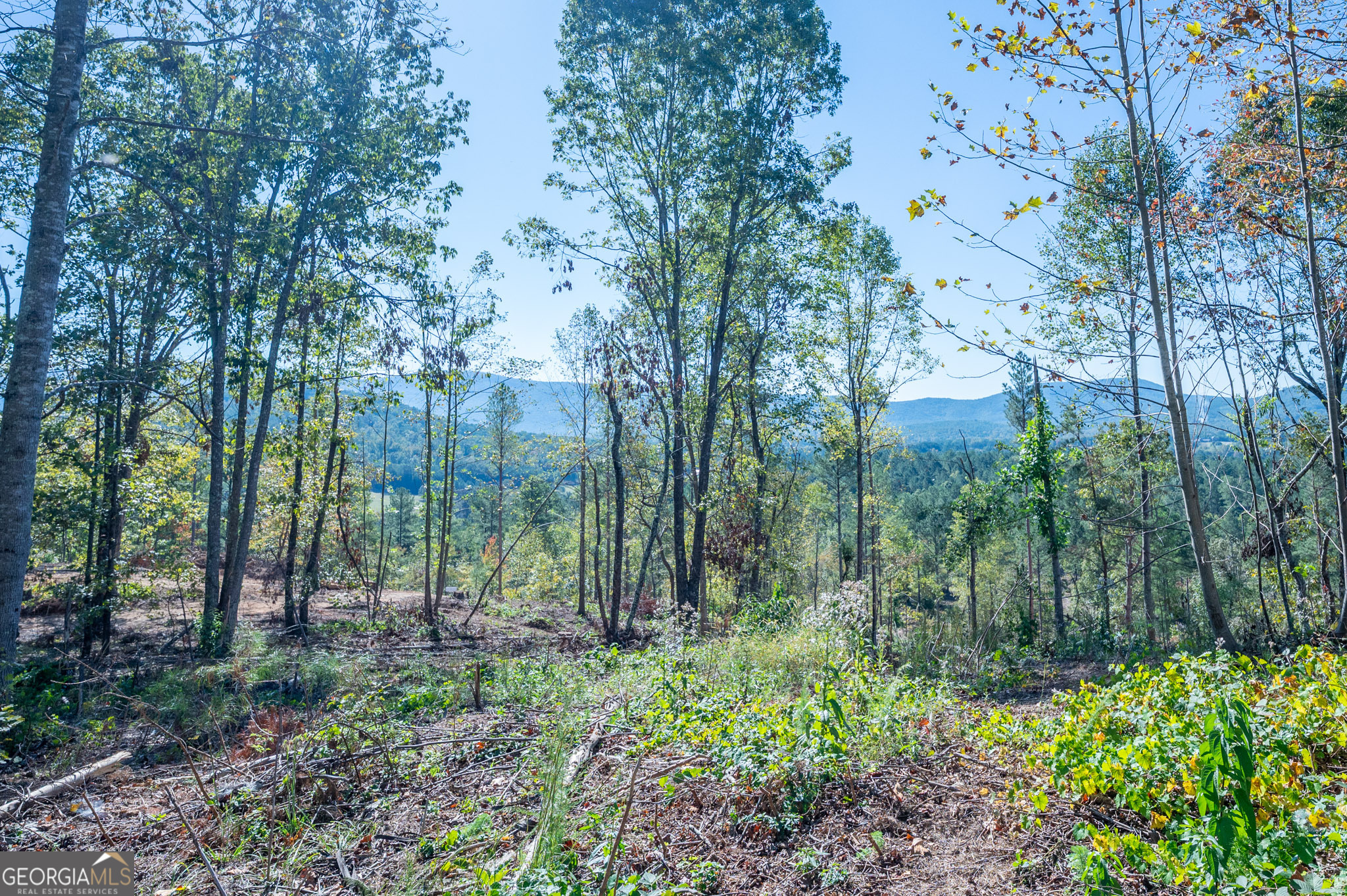 3879 Hwy 140 Ne Property Photo 5
