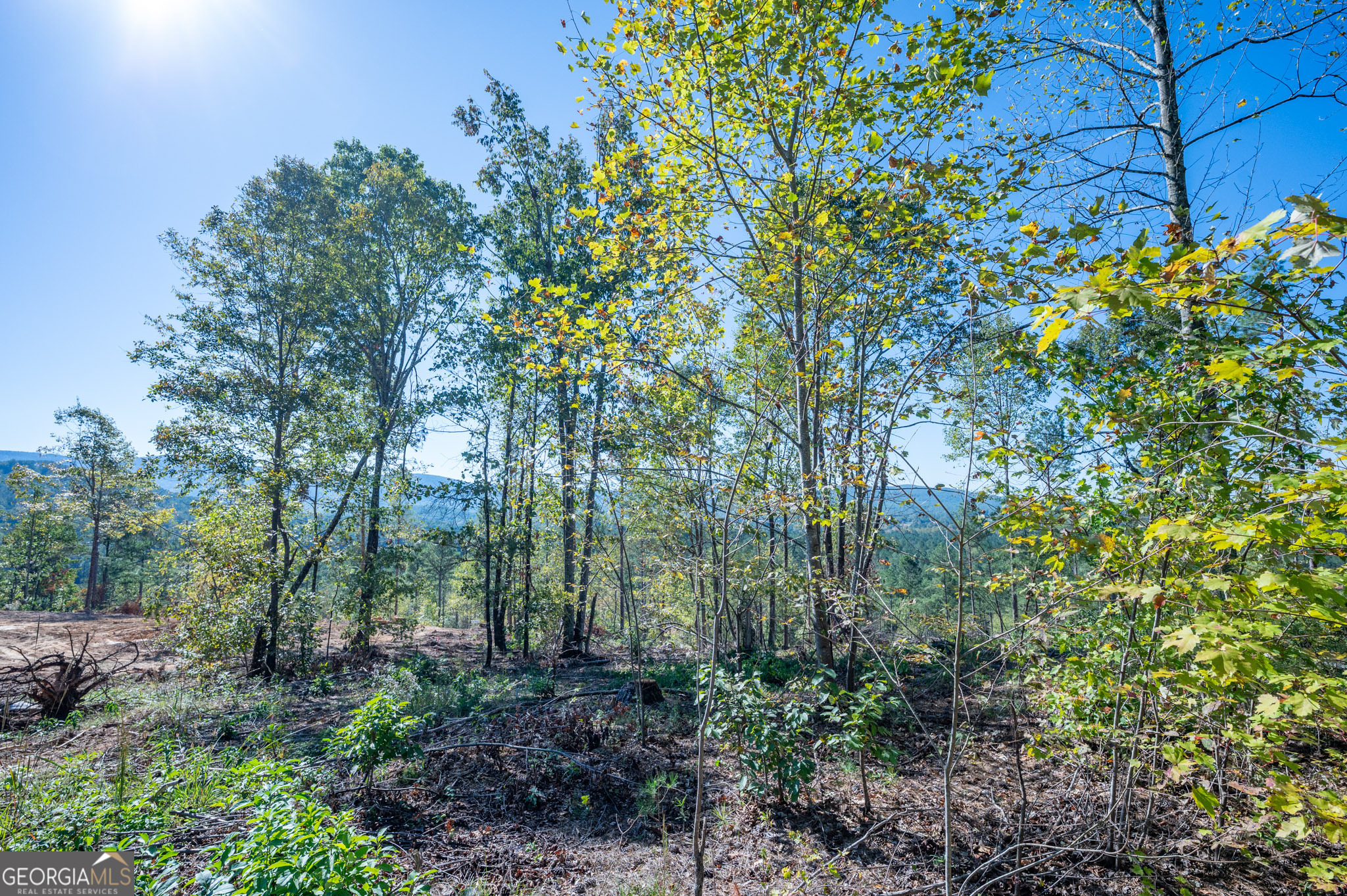 3879 Hwy 140 Ne Property Photo 6