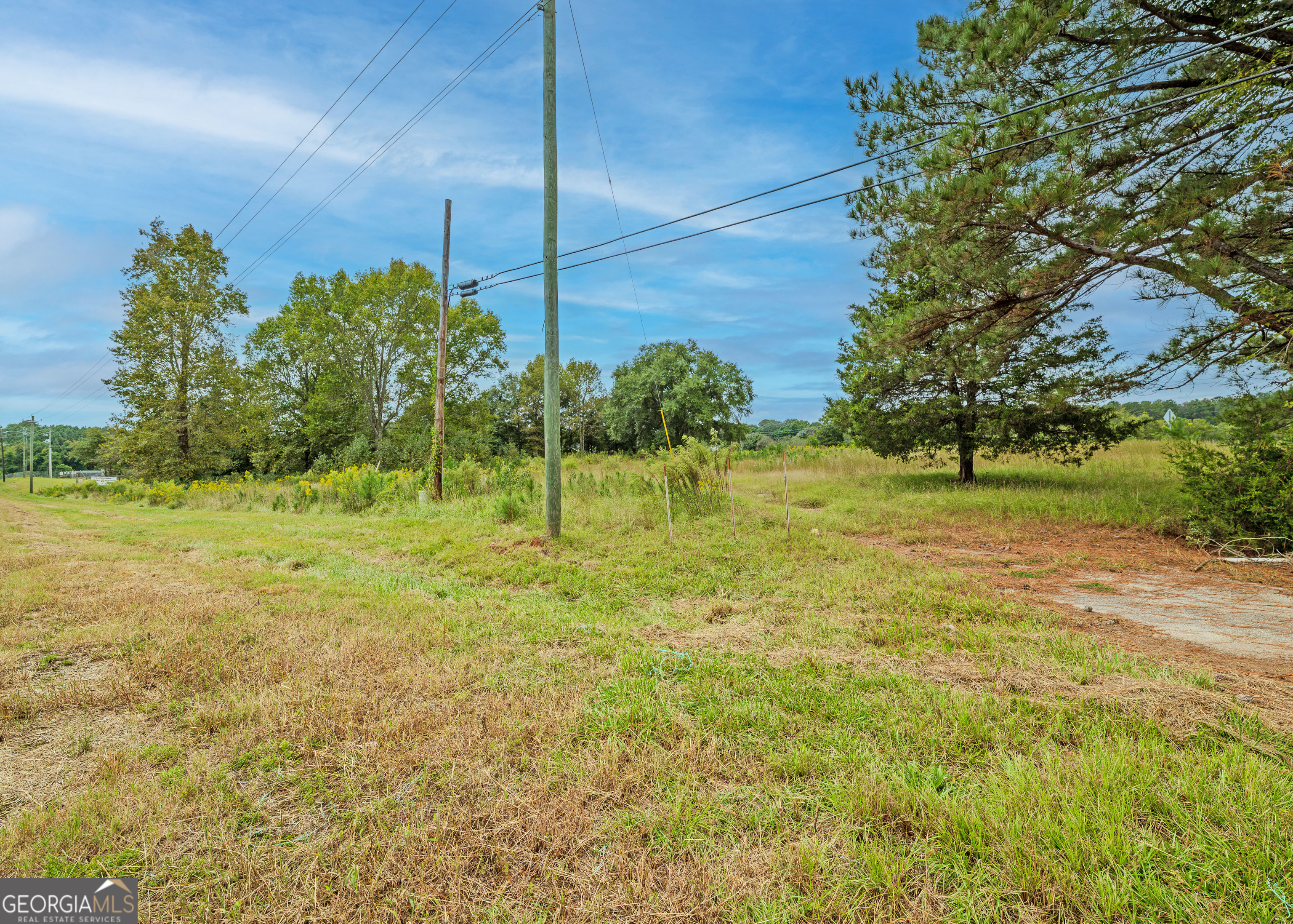 Tract 1.73 Highway 59 Property Photo 5